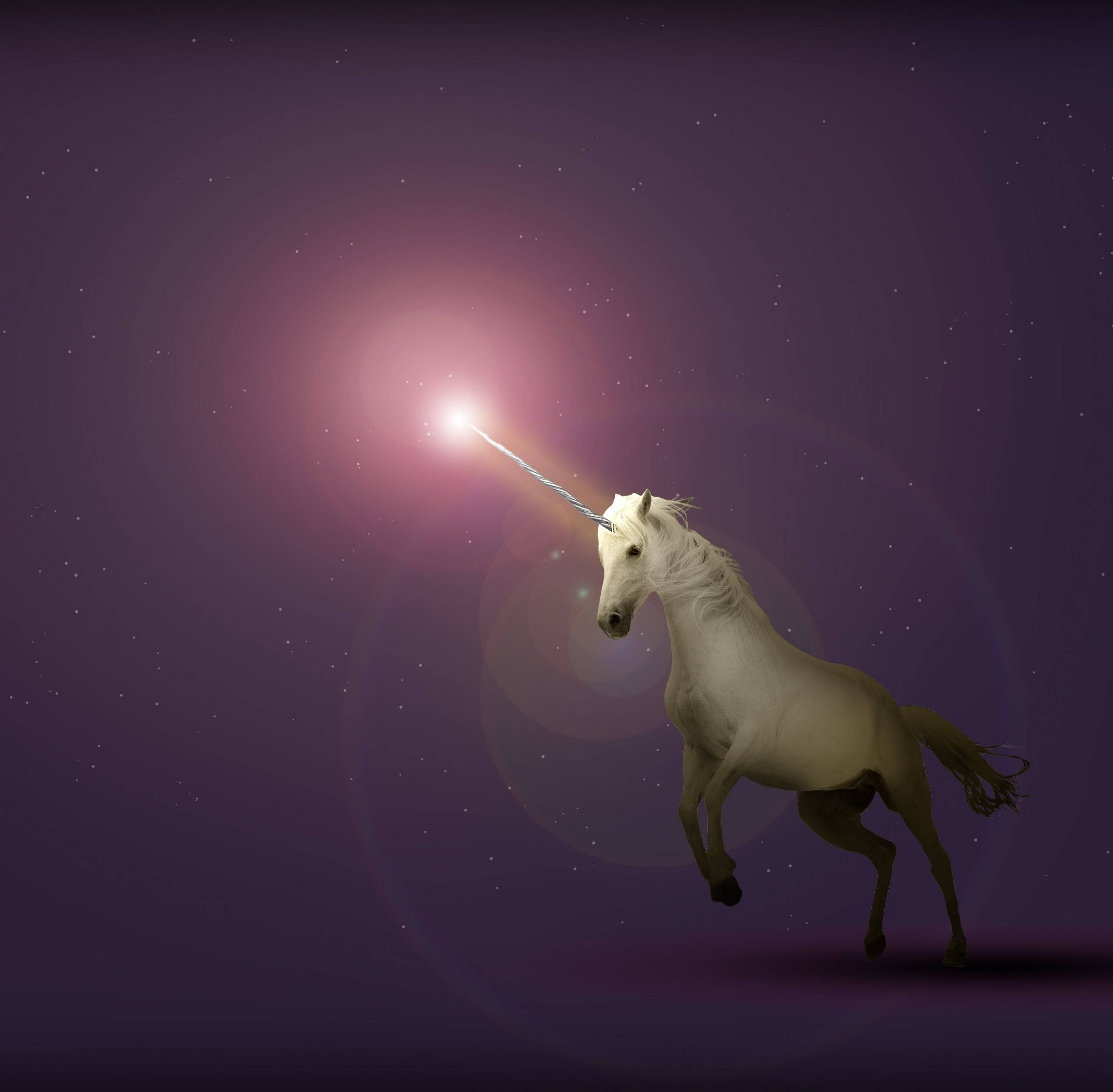獨角獸 桌布 壁紙 — 一匹雄偉的白色獨角獸奔馳在滿天星斗的紫色夜空，發光的角散發出耀眼的光芒。