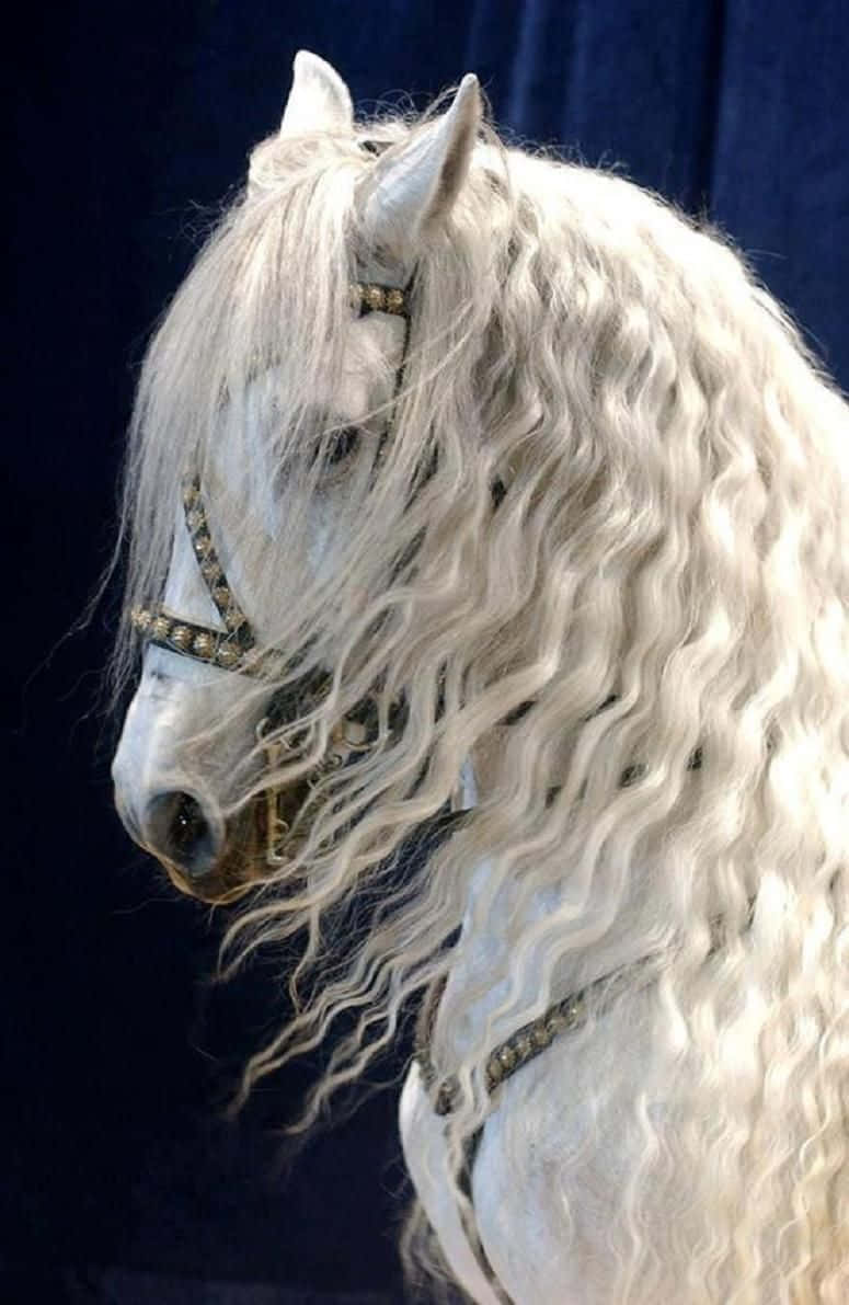 動物 桌布 壁紙 — 一匹雄偉的白馬，擁有飄逸的捲曲鬃毛和華麗的金色韁繩，側身站在深藍色天鵝絨背景前。