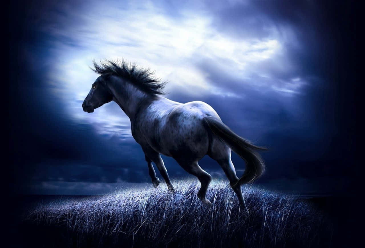 Pretty Horse 桌布 壁紙 — 一匹雄偉的白馬在戲劇性的藍色暴風雨天空下，穿過高高的草叢奔馳，天空中有發光的雲彩。