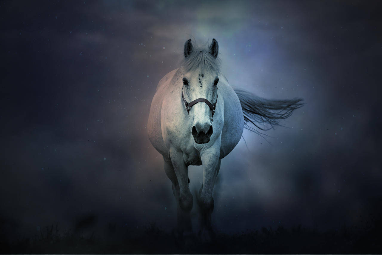 白馬 桌布 壁紙 — 一匹雄偉的白馬在星光燦爛的夜空下，穿過迷霧向前奔馳，帶有發光的藍色亮點。