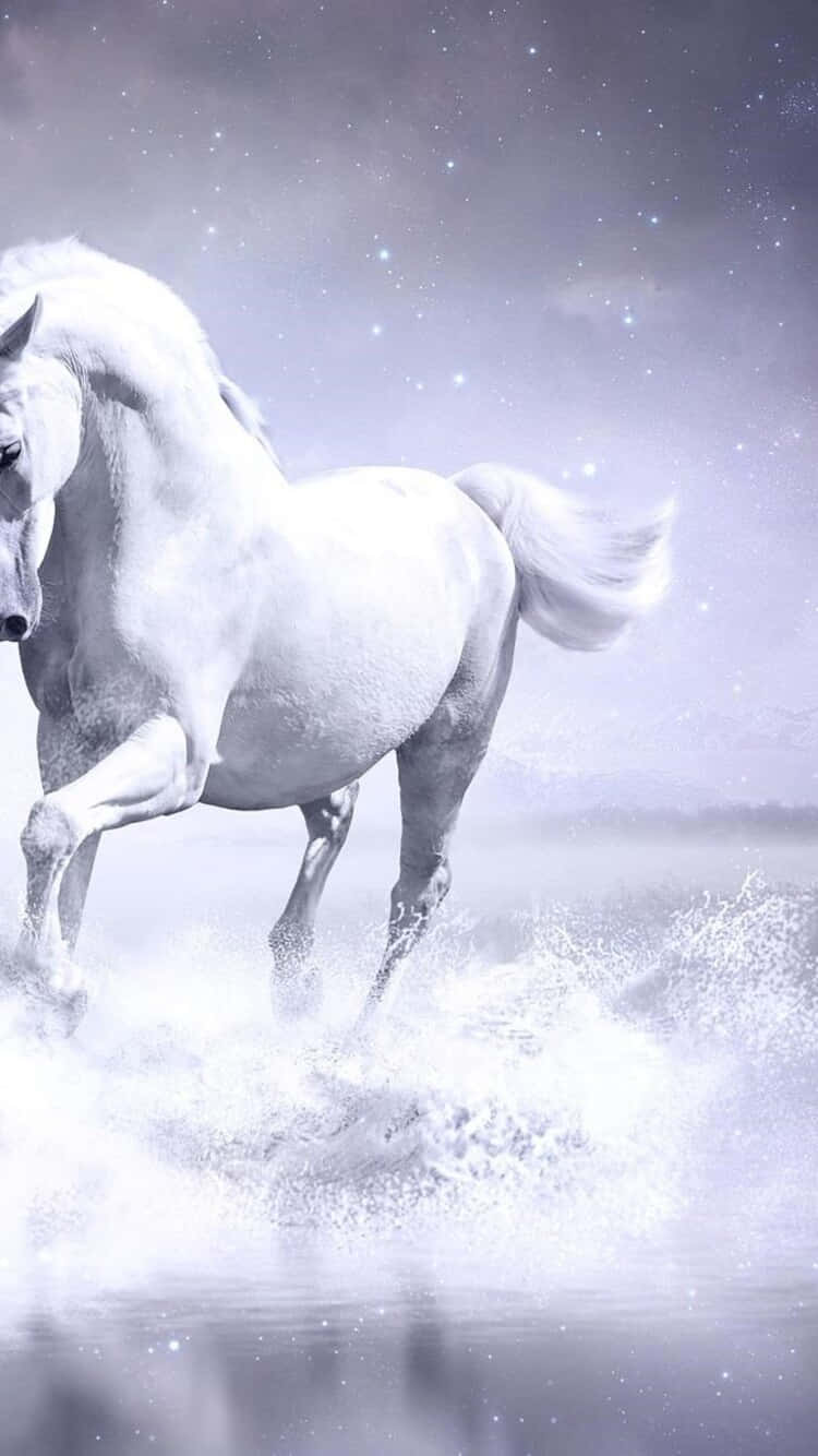 Beautiful Horse iPhone 桌布 壁紙 — 一匹雄偉的白馬在星光燦爛的暮色天空下，奔騰於閃爍的水面上。
