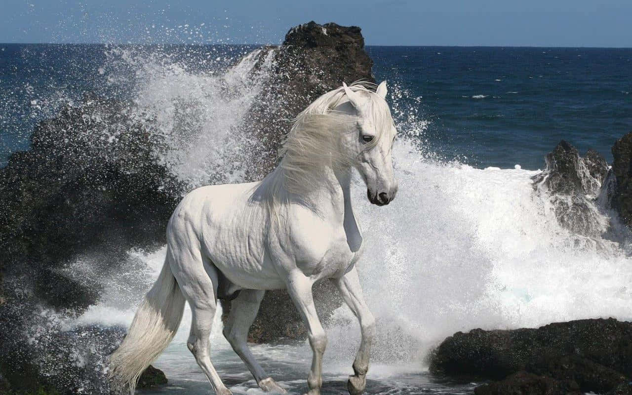 白馬 桌布 壁紙 — 一匹雄偉的白馬在晴朗藍天下，奔騰於撞擊黑色火山岩的洶湧海浪之中。