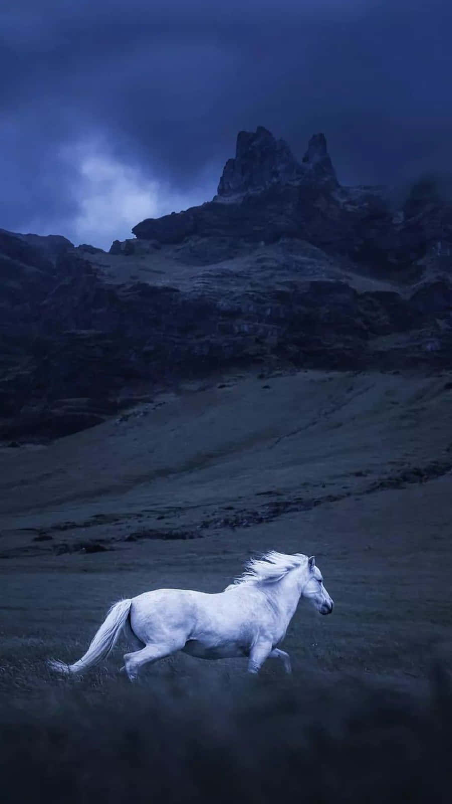 Horse Free 桌布 壁紙 — 一匹雄偉的白馬在風暴黃昏的天空下，自由奔馳於霧氣瀰漫的山間草地上。