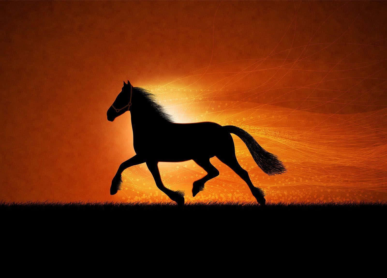 Pretty Horse 桌布 壁紙 — 一匹雄偉的馬以剪影姿態奔馳，背景是發光的橙色日落天空，伴隨著耀眼的光軌。