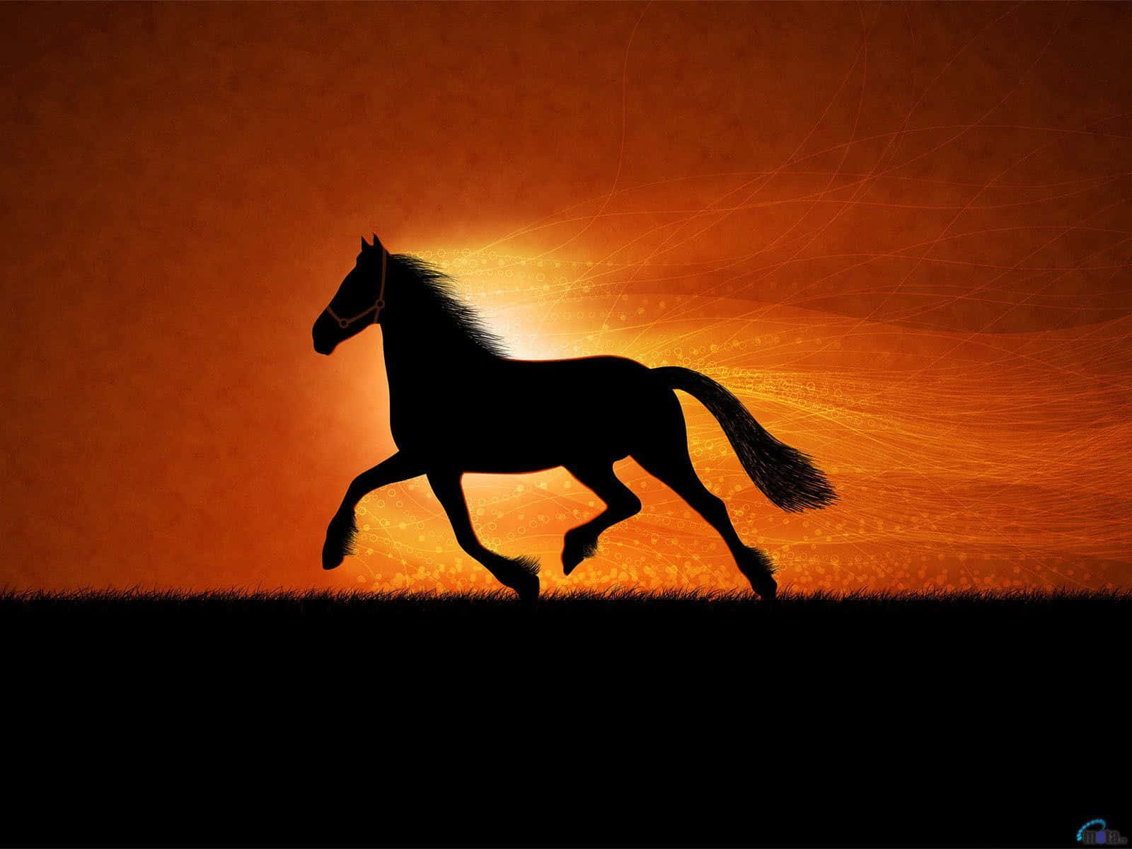 Cool Horse 桌布 壁紙 — 一匹雄偉的馬剪影在火紅的橙色日落地平線上奔馳，帶有發光的粒子軌跡。
