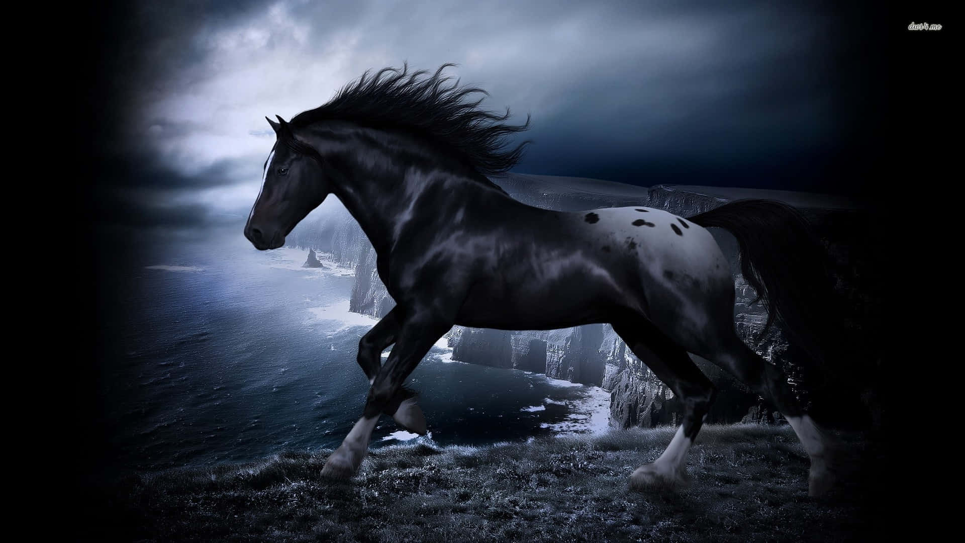 Black Horse 桌布 壁紙 — 一匹雄偉的黑白馬在暴風雨黃昏的天空下沿著懸崖邊奔馳。