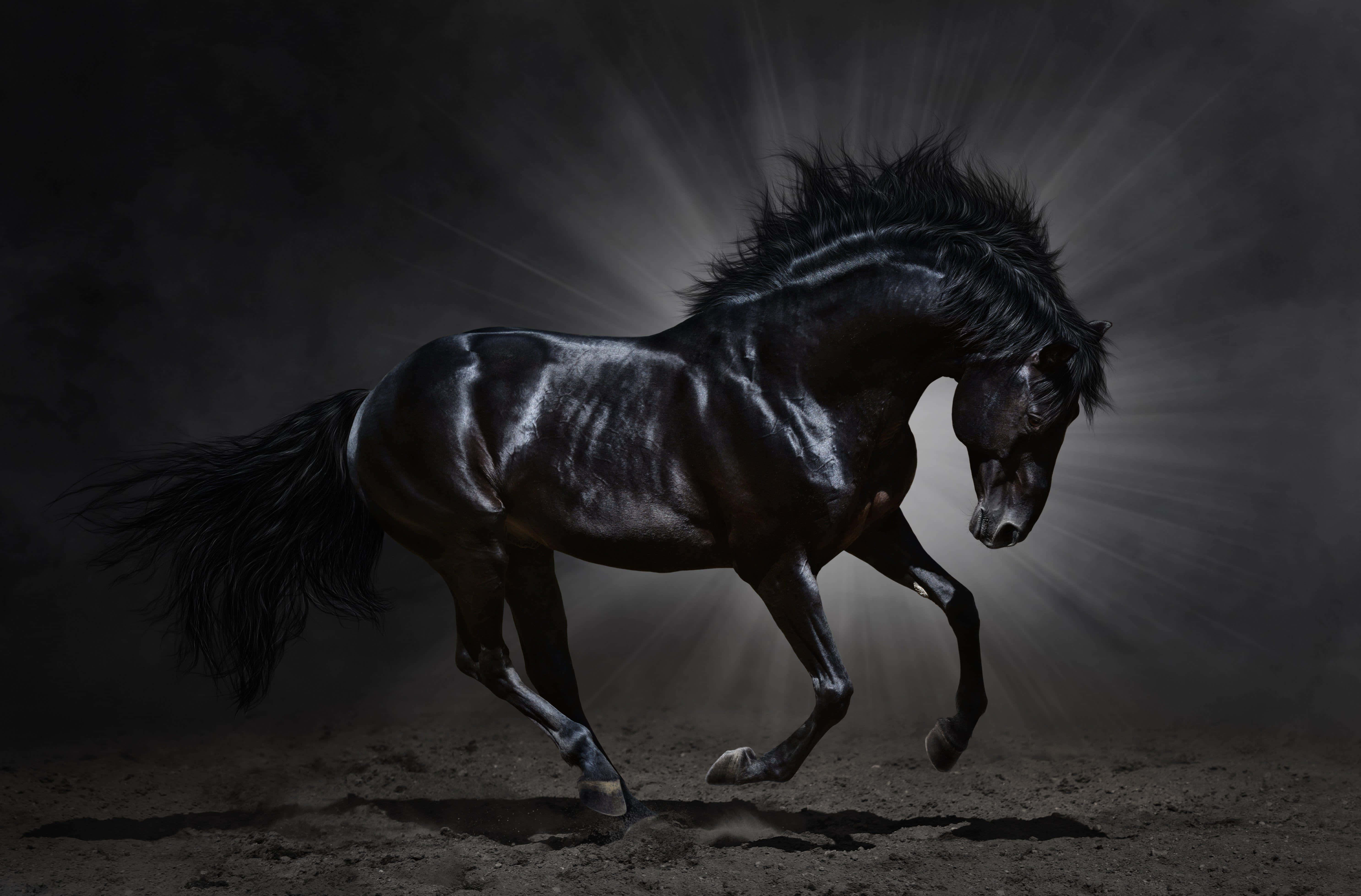 Black Horse 桌布 壁紙 — 一匹雄偉的黑馬在塵土中強力奔馳，背後有耀眼的光芒在黑暗背景下迸發。