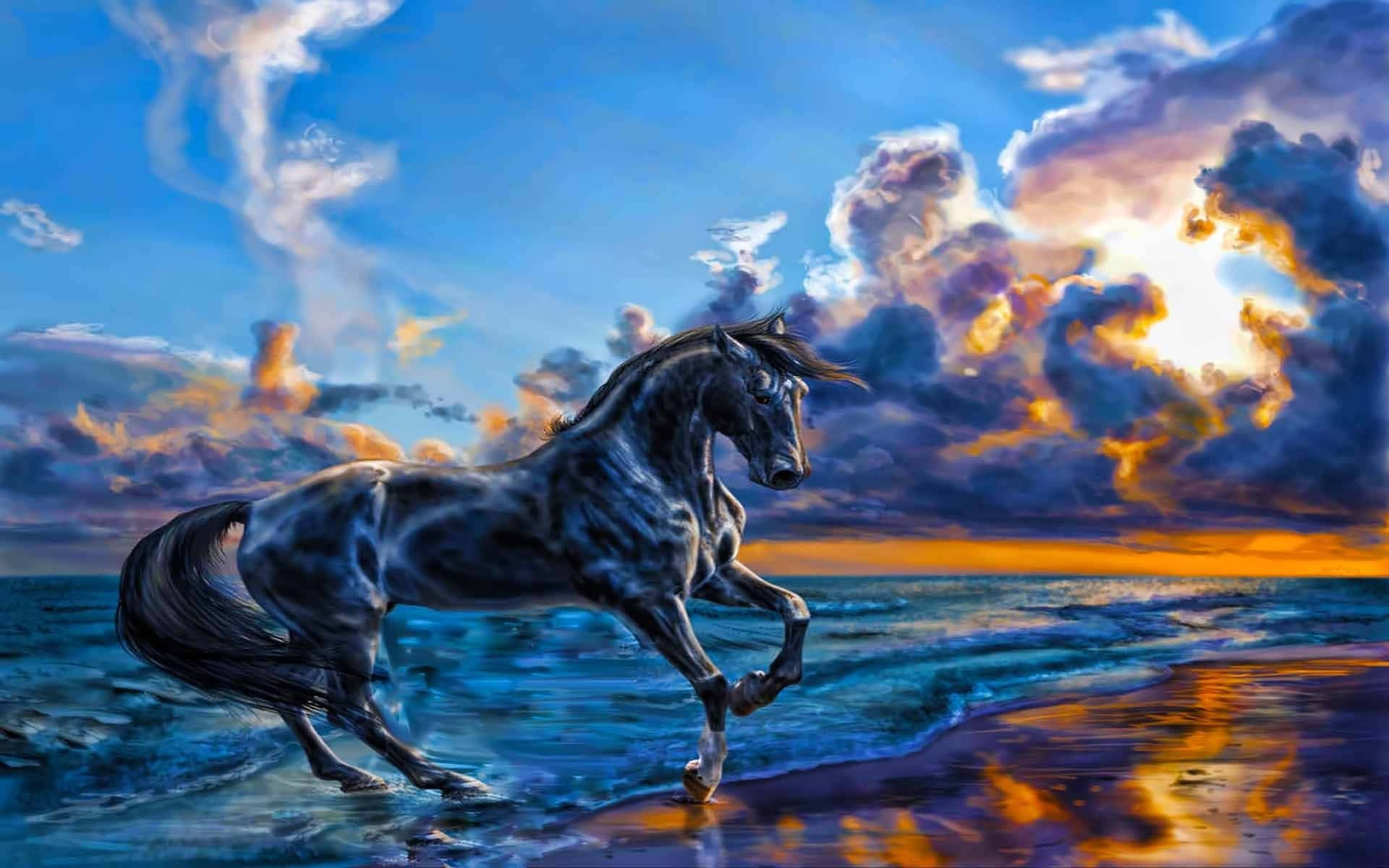 Beautiful Animal 桌布 壁紙 — 一匹雄偉的黑馬在淺海水中奔騰，背景是火燒雲的壯麗日落天空。