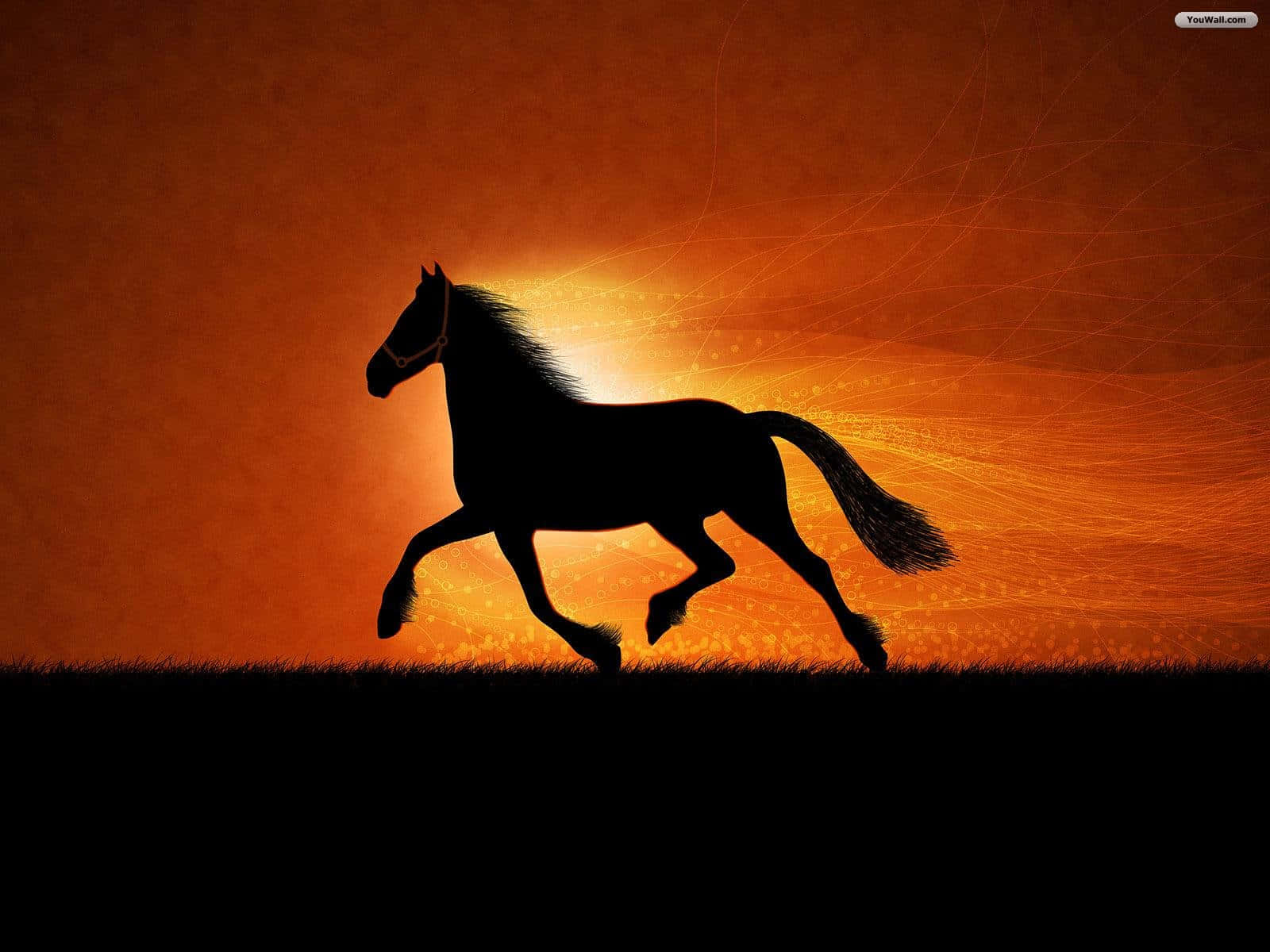Black Horse 桌布 壁紙 — 一匹雄壯的馬剪影，在火紅的橙色日落地平線上奔騰，留下發光的粒子軌跡。