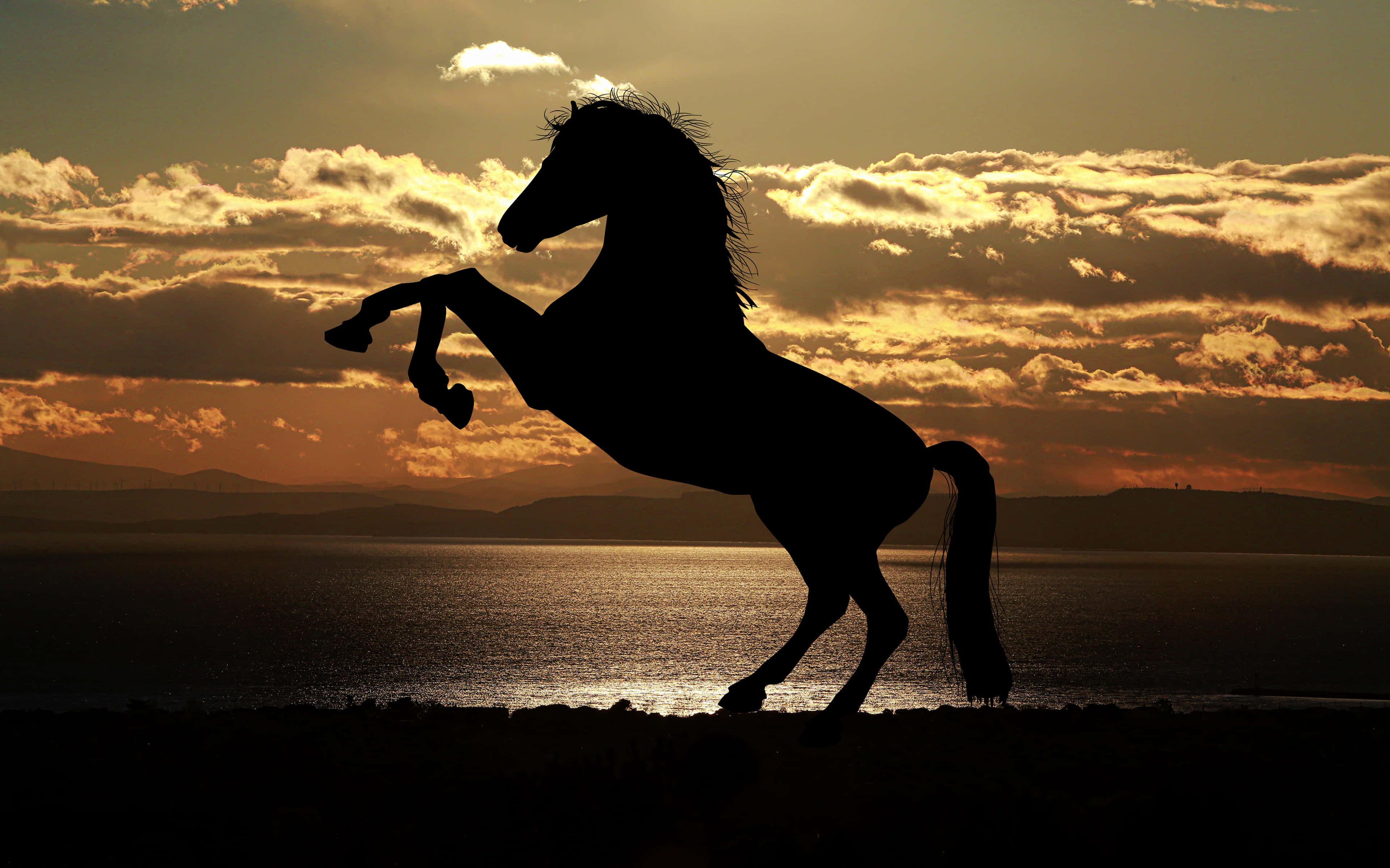 Silhouette 桌布 壁紙 — 一匹雄壯的馬在平靜的海面上，以剪影姿態對著金色夕陽和戲劇性的雲朵揚起前蹄。