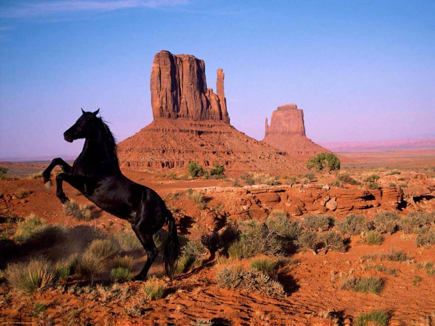 Mustang Horse 桌布 壁紙 — 一匹黑馬在陽光明媚的沙漠中強力騰躍，標誌性的紅色岩石但丁聳立在清澈的藍天下。