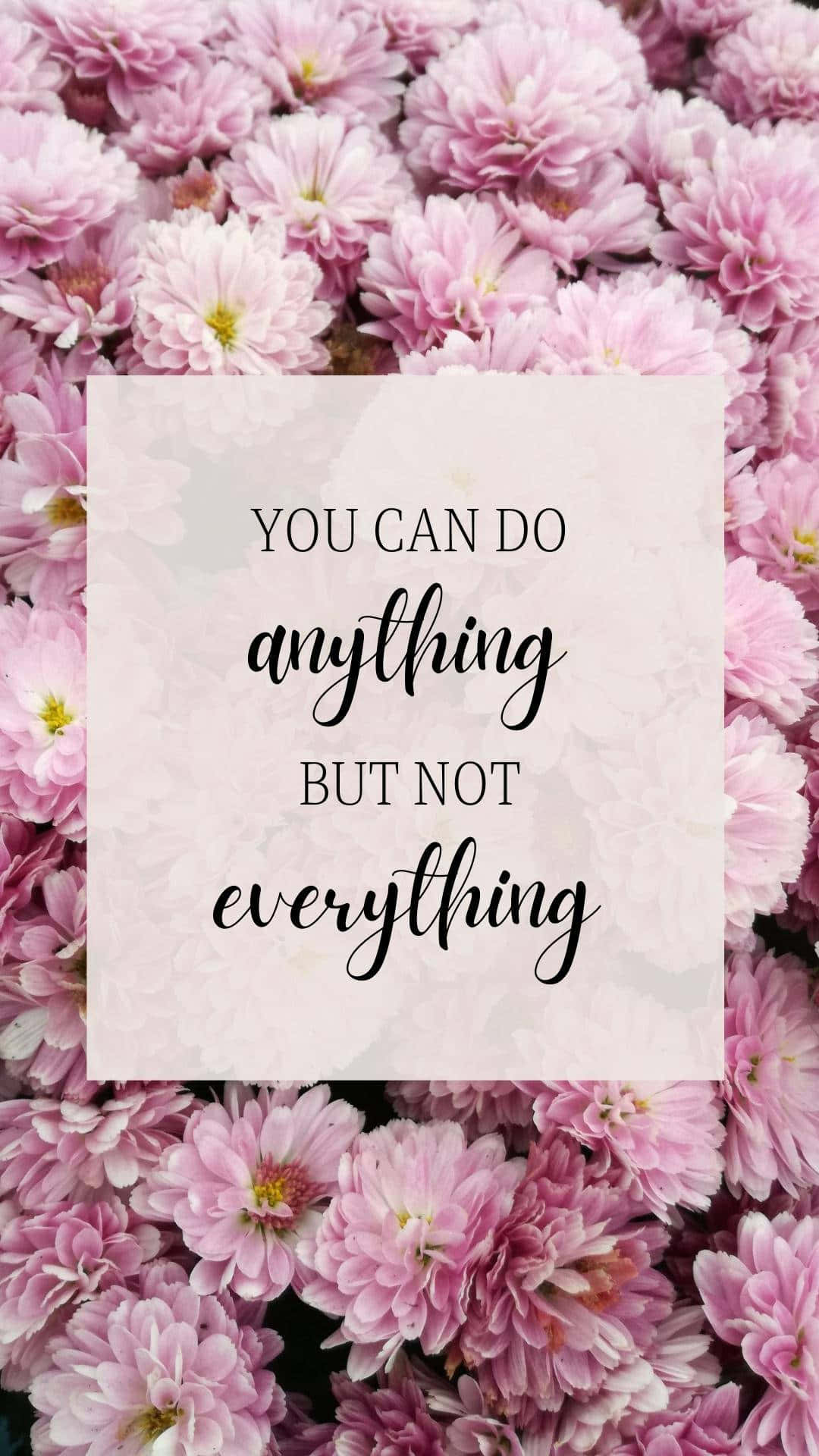 Positive Quotes 桌布 壁紙 — 一句勵志語錄覆蓋在密集的柔粉紅色菊花田上，花瓣細緻。