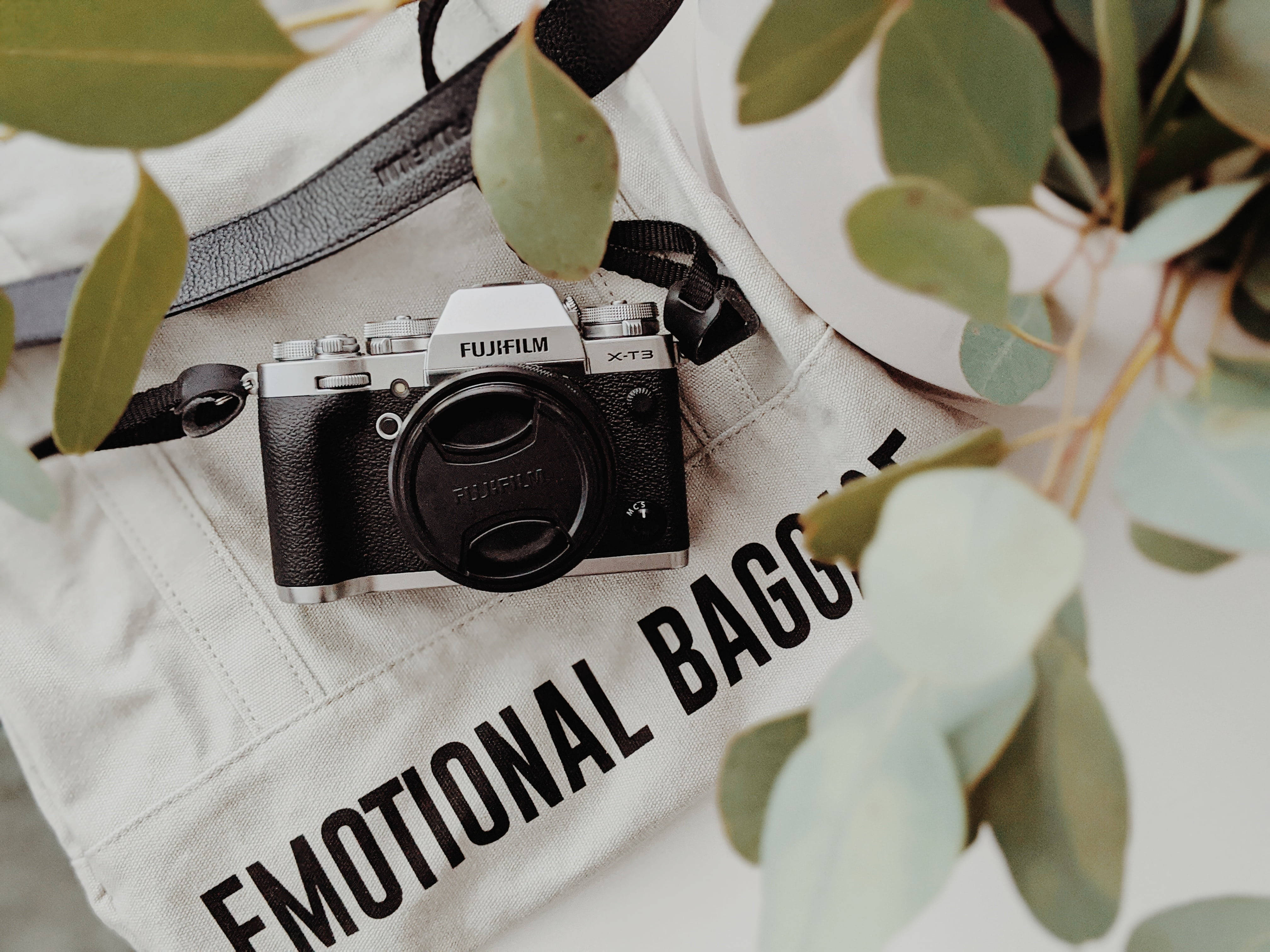 葉子 桌布 壁紙 — 一台 Fujifilm X-T3 相機放在一個印有 emotional bag 字樣的米色托特包上，周圍環繞著新鮮的尤加利葉。