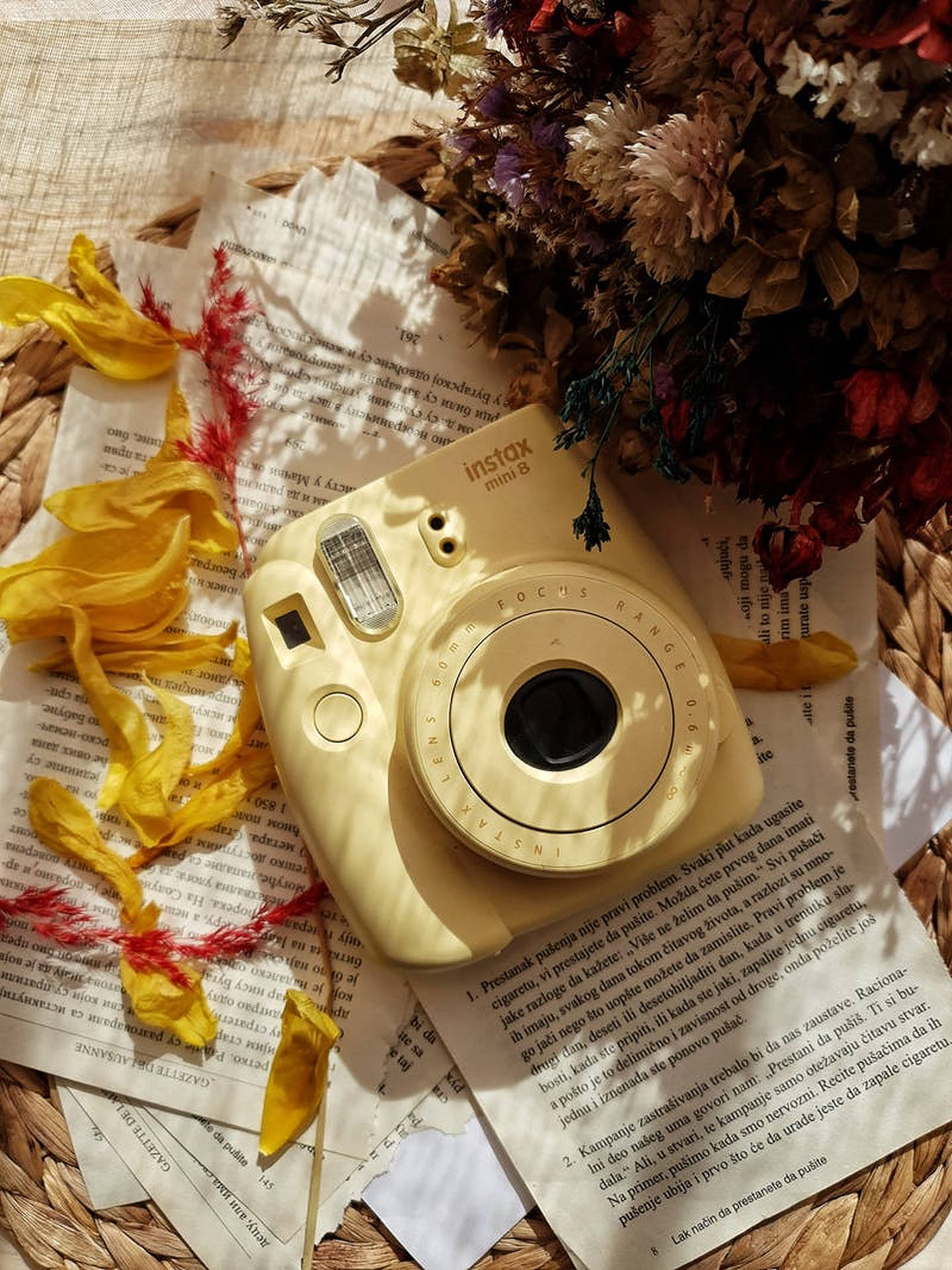 拍立得 桌布 壁紙 — 一台奶油黃色Instax Mini 8相機放在打開的書頁上，旁邊有乾燥花和黃色緞帶，在溫暖的陽光下。