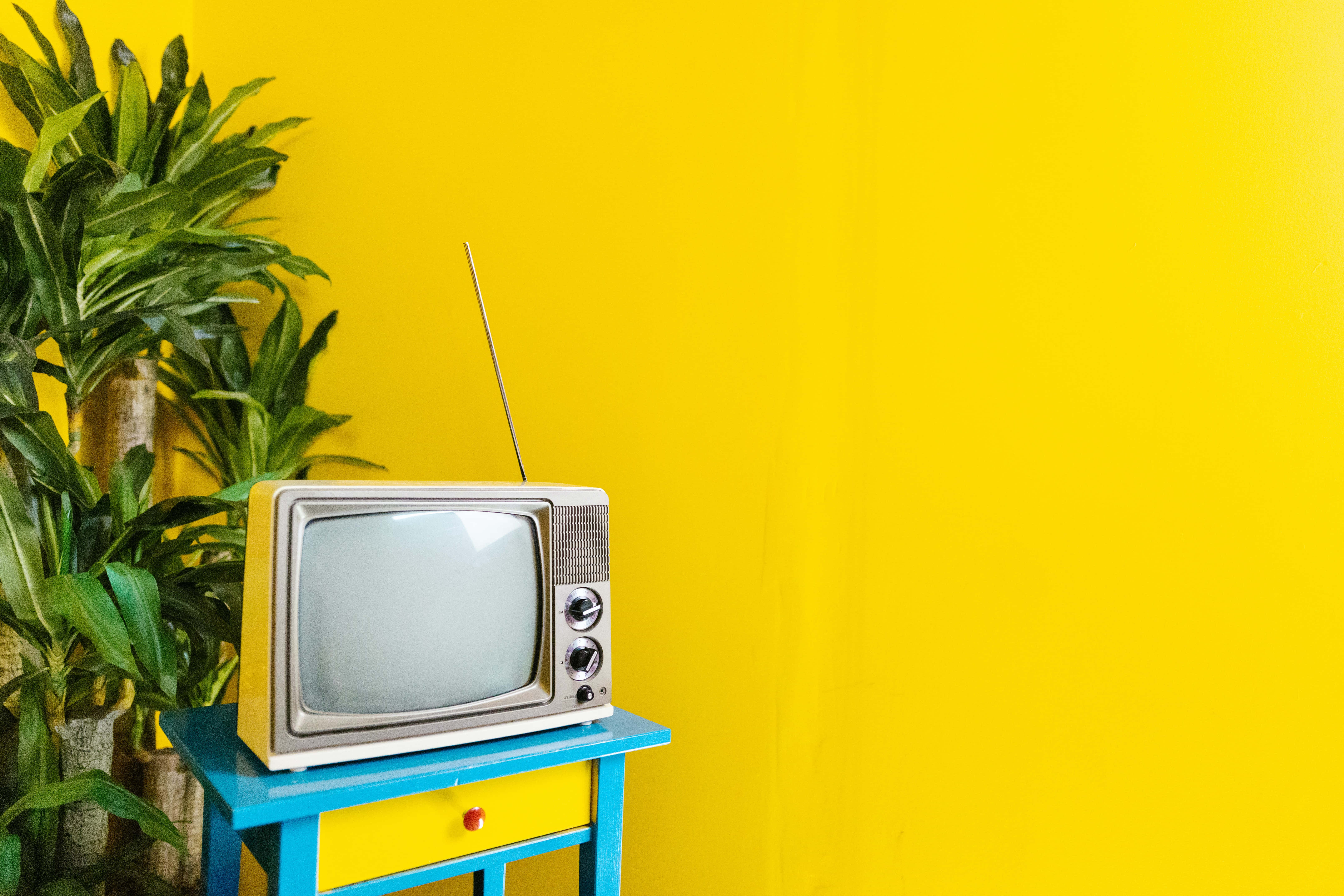 television 桌布 壁紙 — 一台帶天線的復古電視機放在色彩繽紛的櫃子上，旁邊有一棵茂盛的綠色植物，背景是明亮的黃色牆壁。