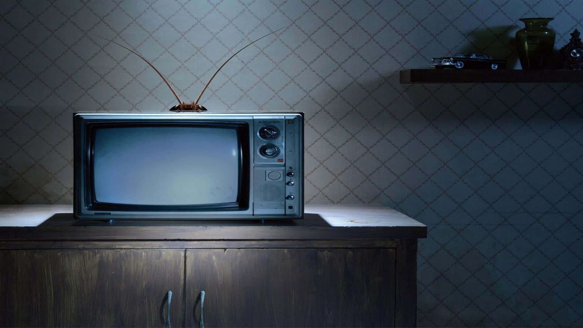 Television Set 桌布 壁紙 — 一台復古電視機放在木櫃上，房間燈光昏暗，一隻蟑螂棲息在天線上。
