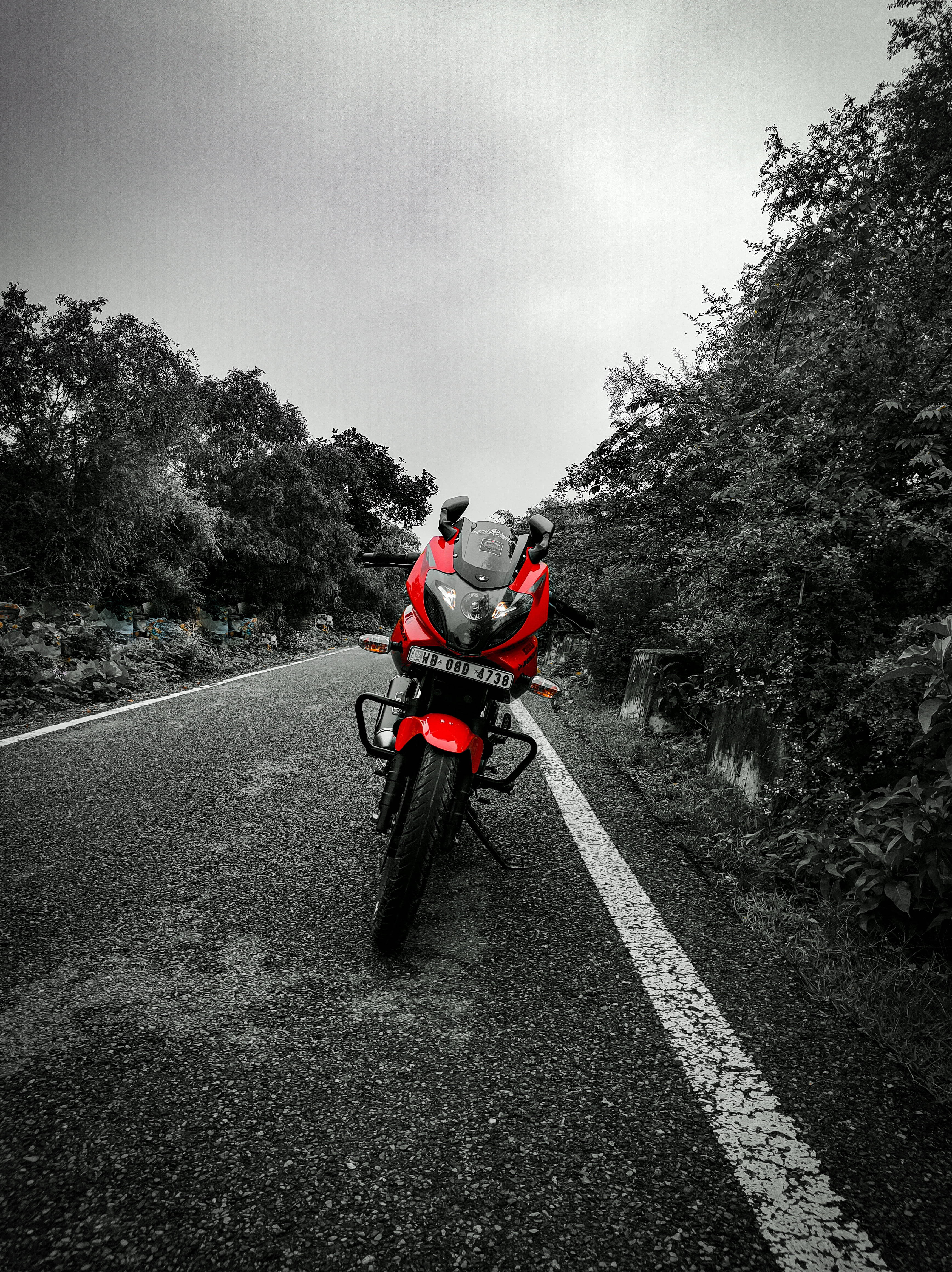 pulsar 220 HD 桌布 壁紙 — 一台搶眼的紅色機車獨自停在蜿蜒的道路上，兩旁是茂密的綠樹，天空陰沉。