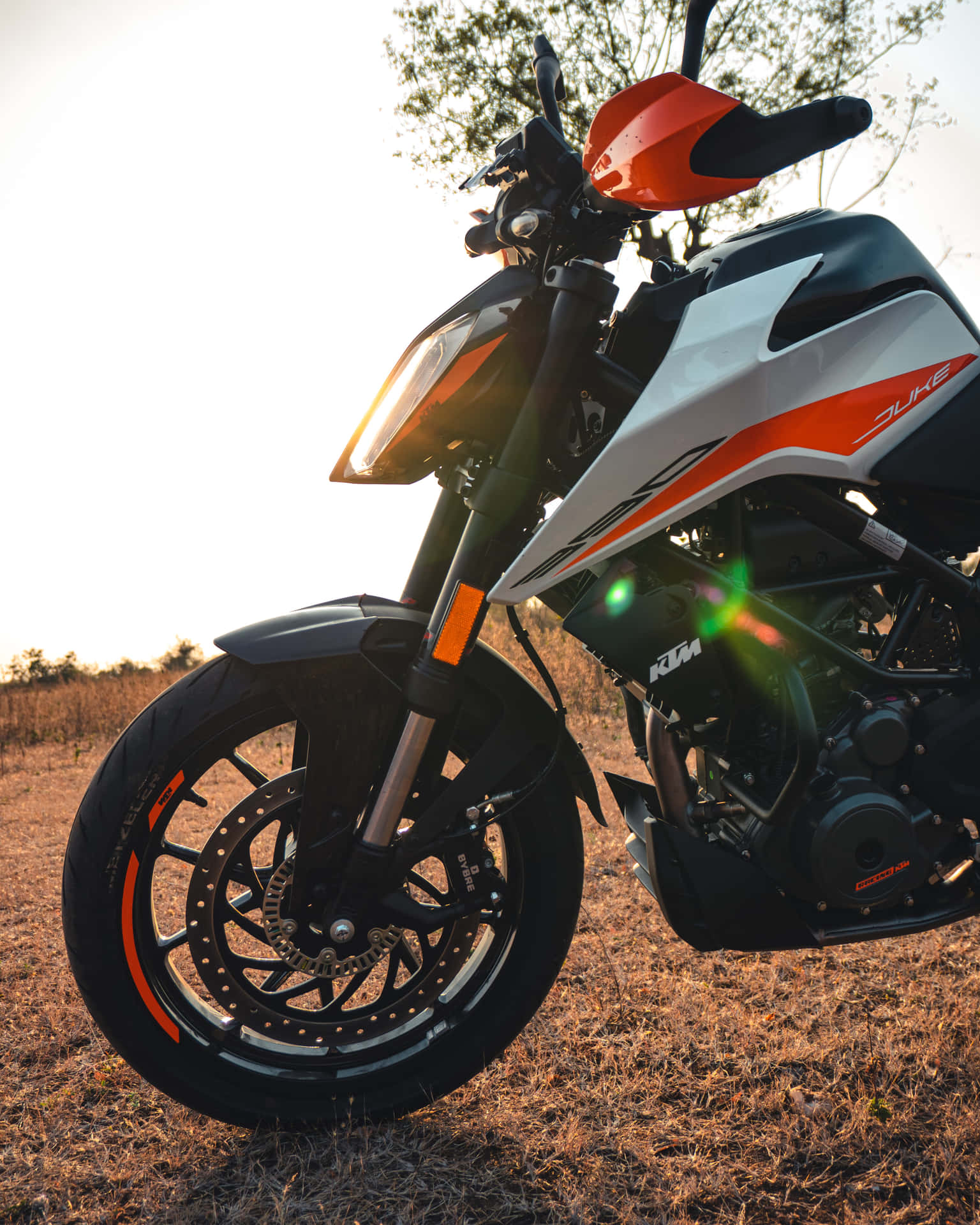  壁紙 — 一台時尚的KTM Duke摩托車在金色夕陽下閃耀，停放在乾草地上，背景有樹木。