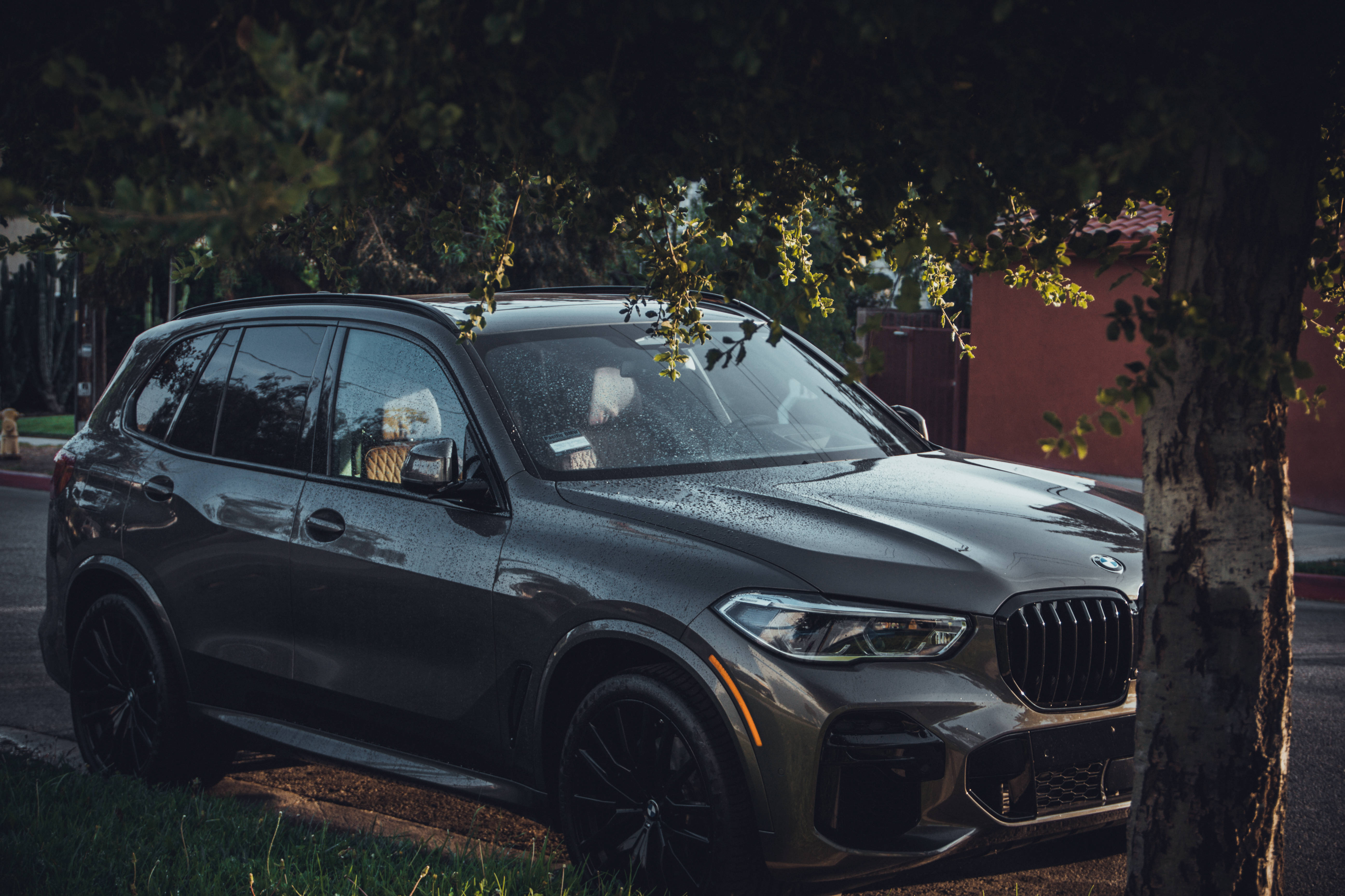 4K BMW 壁紙 桌布 壁紙 — 一台時尚的消光灰色BMW X5 SUV停放在枝葉茂密的樹下，黃昏時分陽光穿過樹葉灑落。