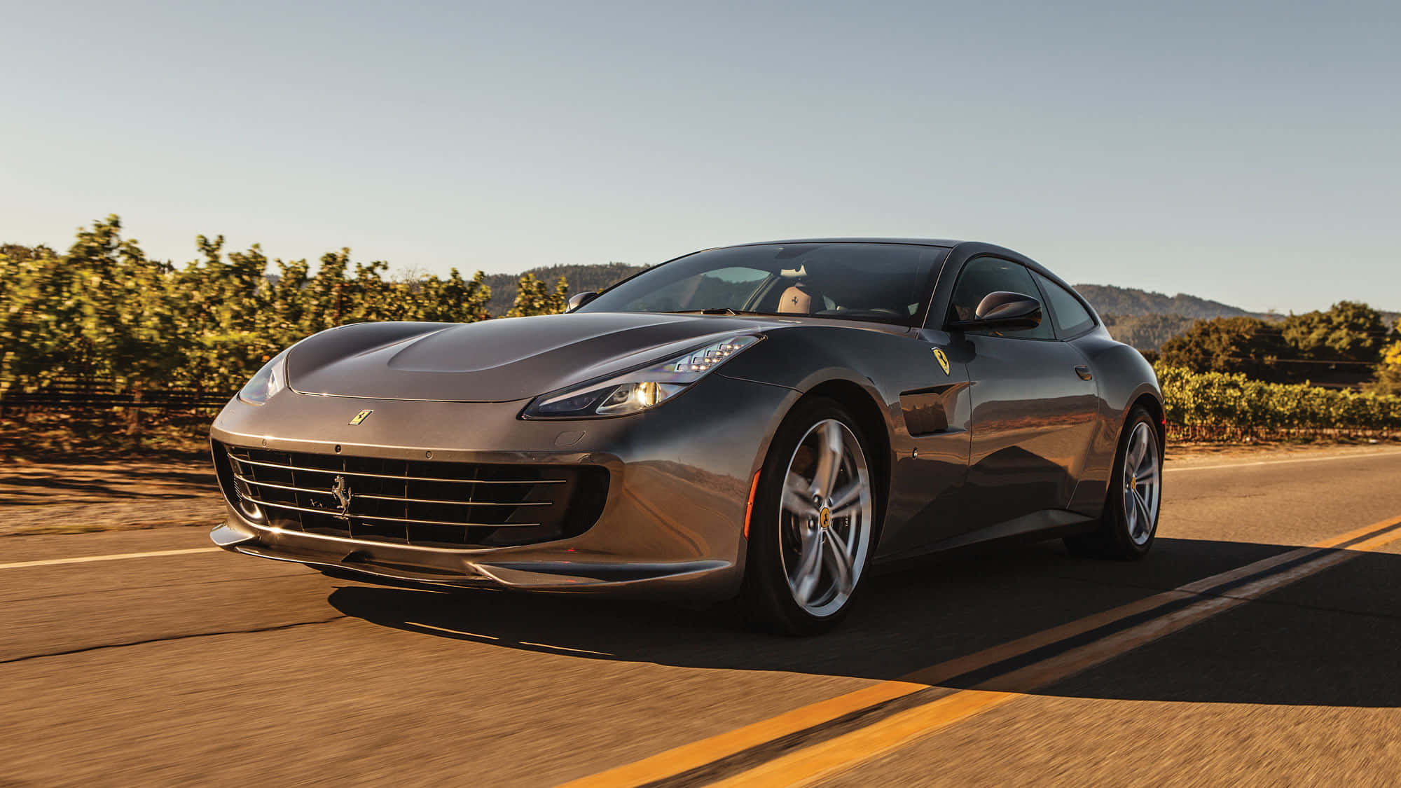 Ferrari Gtc4lusso 桌布 壁紙 — 一台時尚的灰色法拉利在陽光明媚的道路上行駛，兩旁是茂密的綠色葡萄園，頭頂是清澈的藍天。