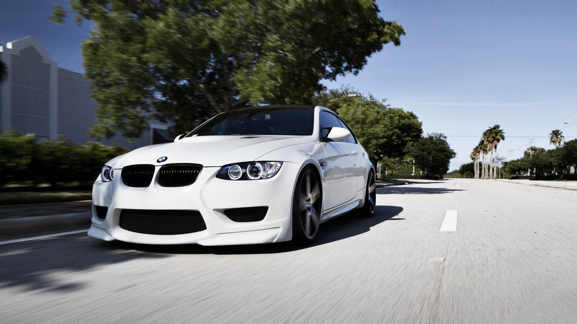 m 桌布 壁紙 — 一台時尚的白色BMW M3在陽光普照的林蔭大道上奔馳，動態模糊效果凸顯其力量與優雅。
