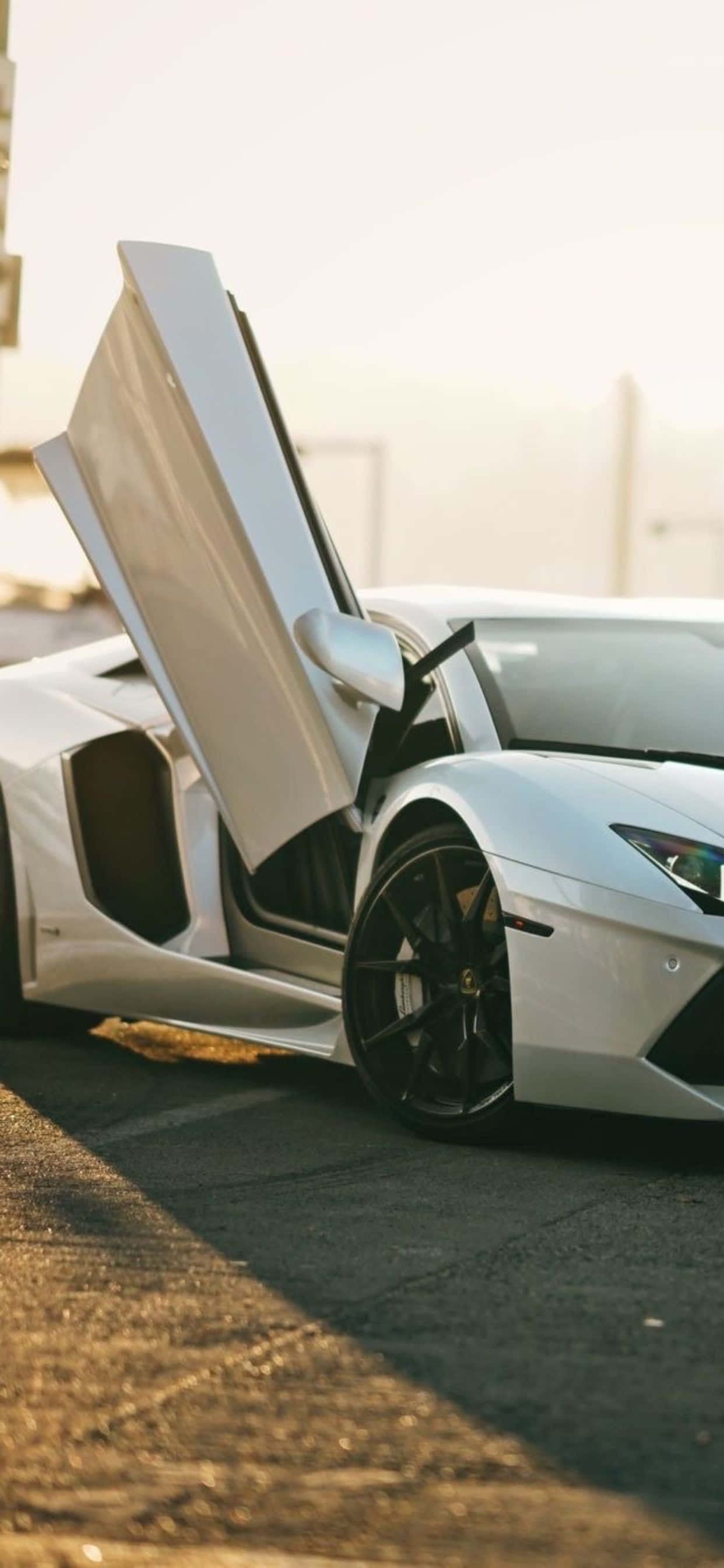 Lamborghini Phone 桌布 壁紙 — 一台時尚的白色藍寶堅尼，剪刀門敞開，停在沐浴在金色夕陽光下的瀝青路面上。