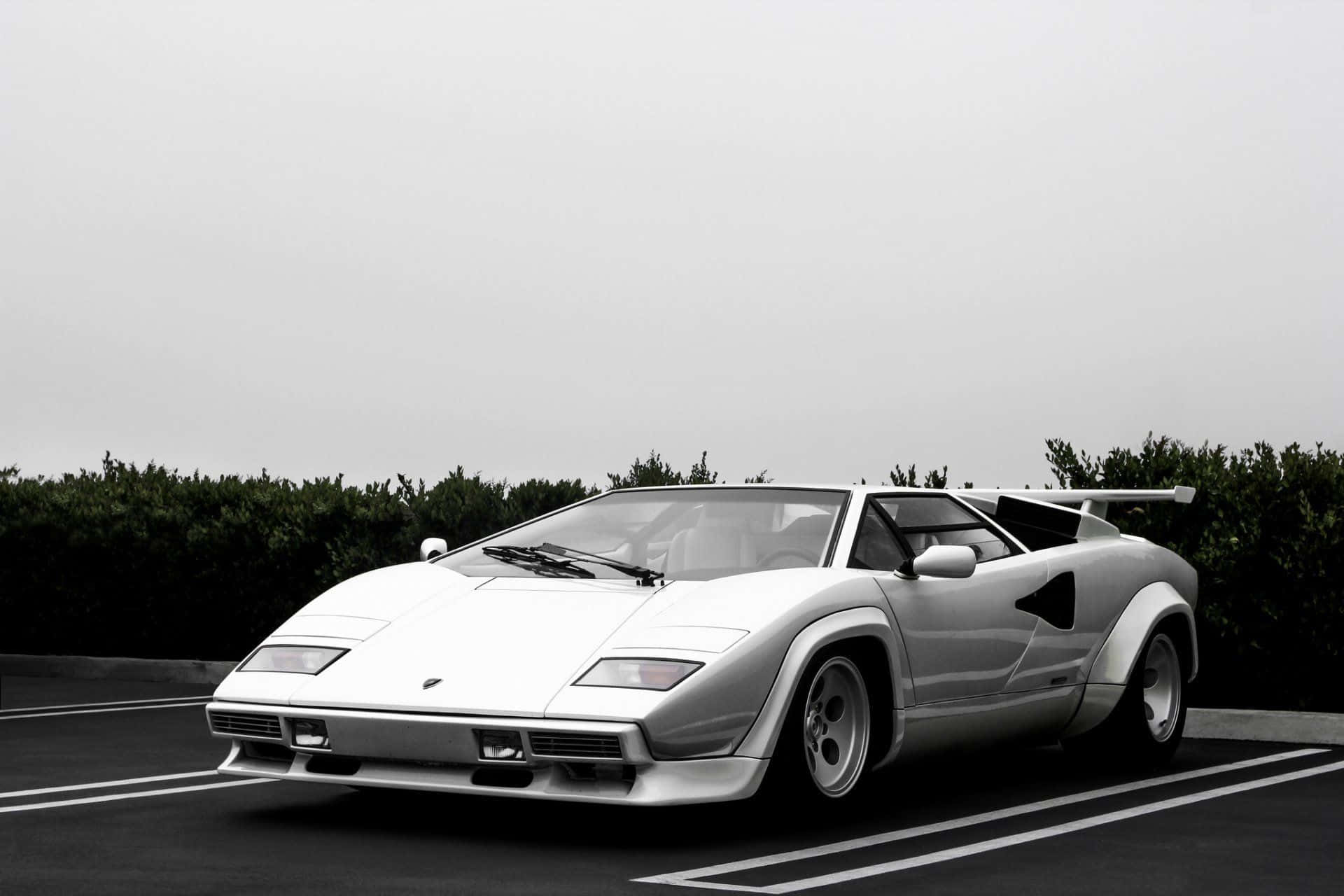 Lamborghini Countach 桌布 壁紙 — 一台時尚的白色藍寶堅尼Countach停放在停車場，周圍有深綠色樹籬，天空多雲。
