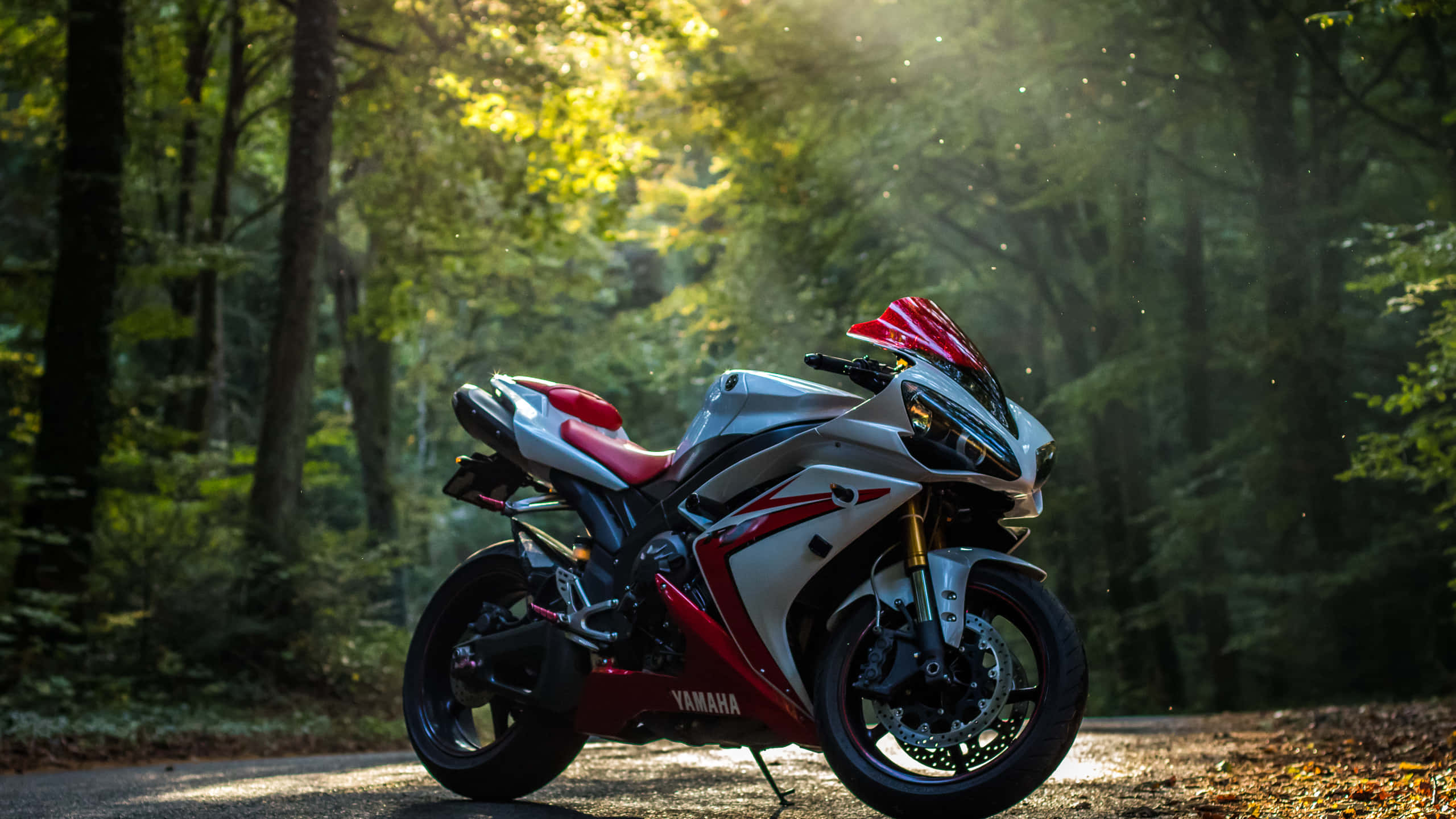 桌布 壁紙 — 一台時尚的紅色和銀色Yamaha跑車停放在森林小徑上，陽光穿過金黃色的秋葉。