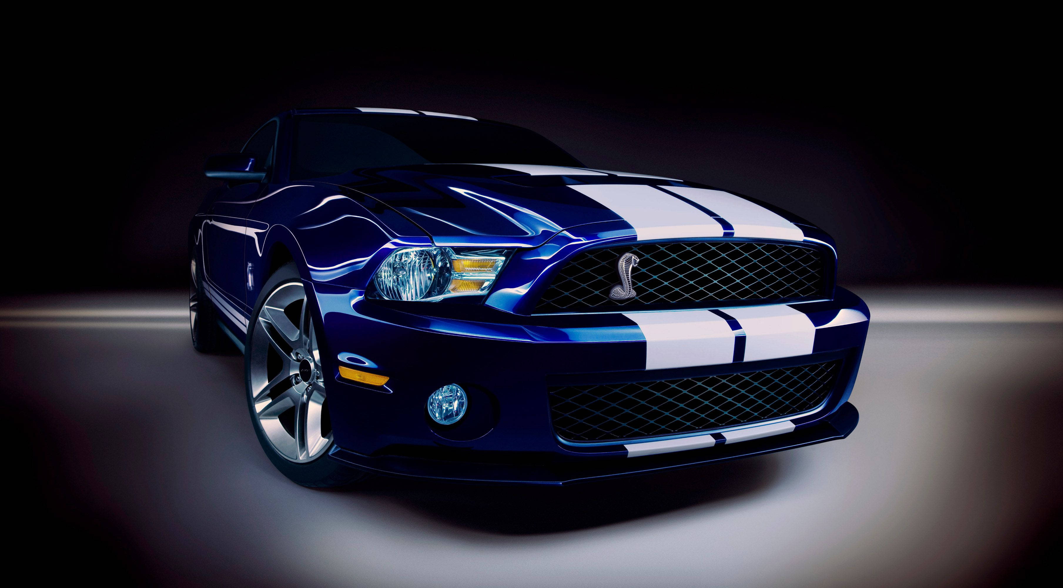 福特 桌布 壁紙 — 一台時尚的藍色Shelby Mustang，帶有白色賽車條紋，在深色背景的攝影棚燈光下閃閃發光。