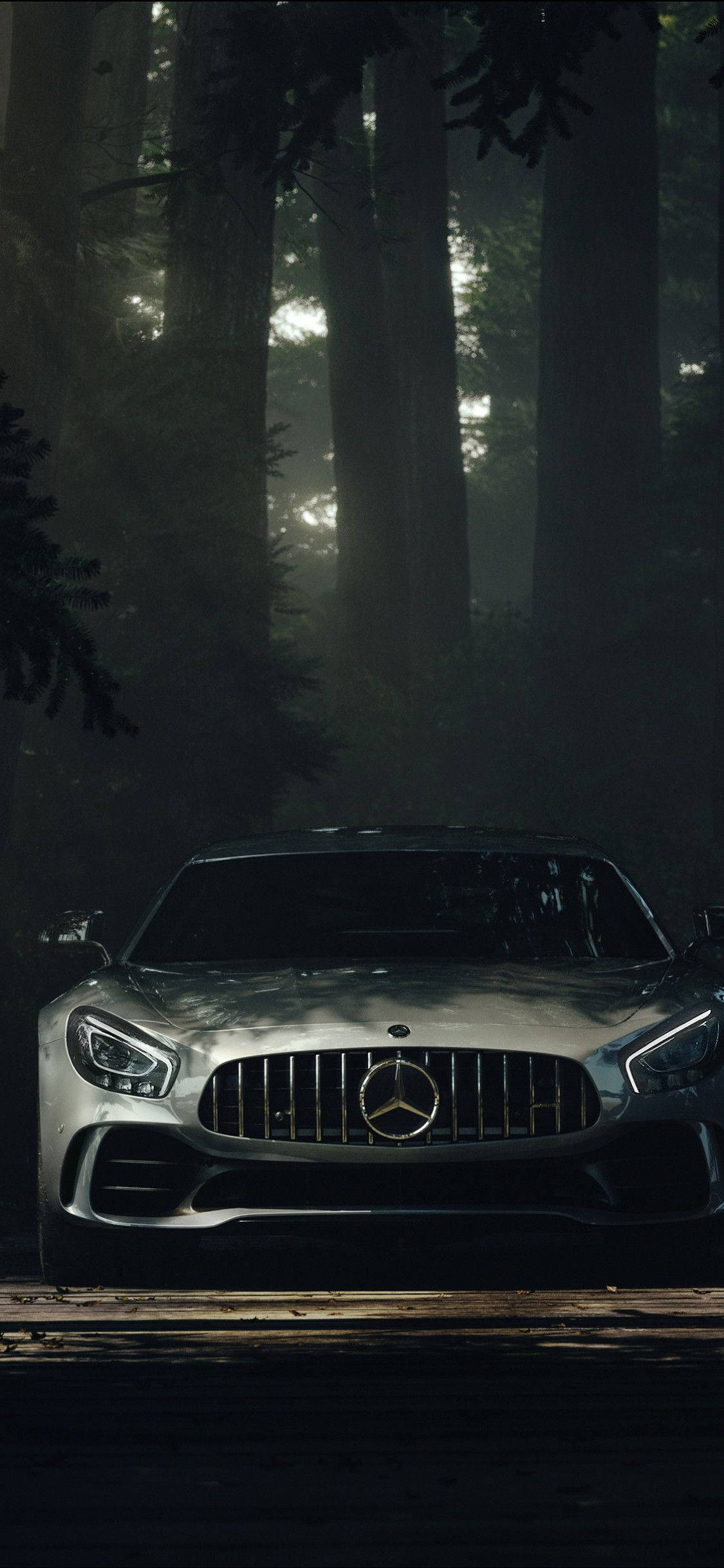 X 桌布 壁紙 — 一台時尚的銀色 Mercedes-AMG GT 停放在森林小徑上，周圍有霧氣繚繞的樹木，斑駁的陽光穿過樹冠灑落。