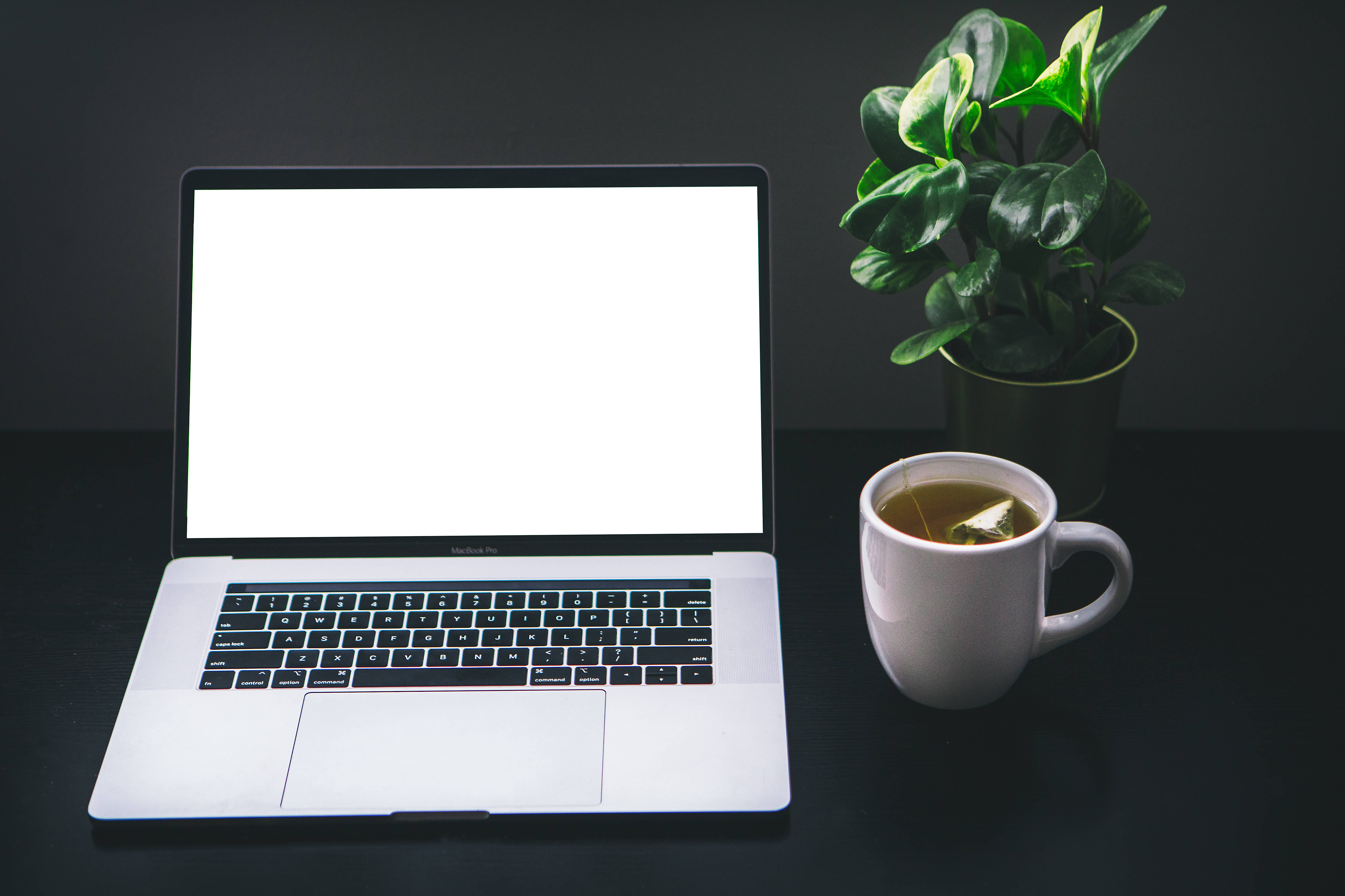 macbook pro 桌布 壁紙 — 一台時尚的銀色筆記型電腦，配備空白白色螢幕，旁邊放著一杯冒煙的茶和一棵茂盛的綠色植物，在深色桌子上。