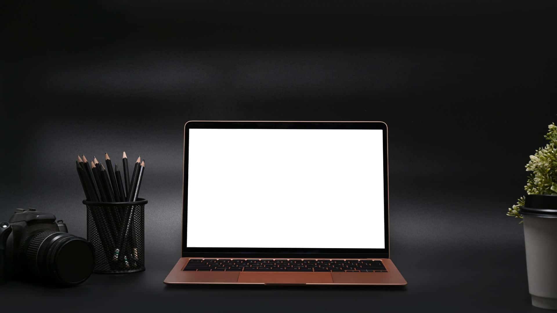 Computer Screen 桌布 壁紙 — 一台時尚的銅色筆記型電腦，空白白色螢幕，放在深色書桌中央，旁邊有相機筆筒和盆栽植物。