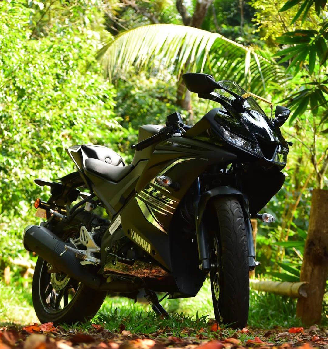 桌布 壁紙 — 一台時尚的黑色Yamaha R15機車停在草地上，陽光普照，背景是茂密的綠色熱帶植物。