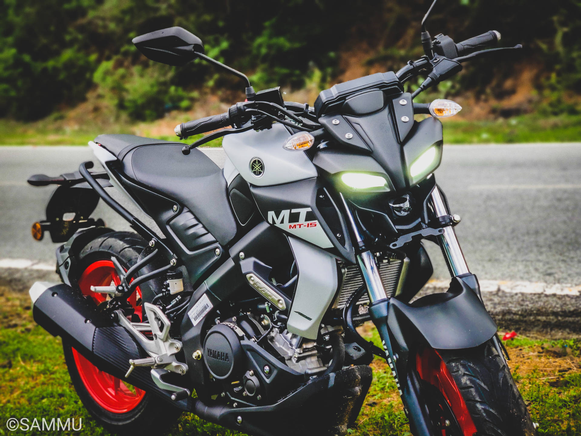 yamaha mt 15 桌布 壁紙 — 一台時尚的黑色和銀色Yamaha MT-15機車，車頭燈發光，停放在路邊，背景有綠草和樹木。