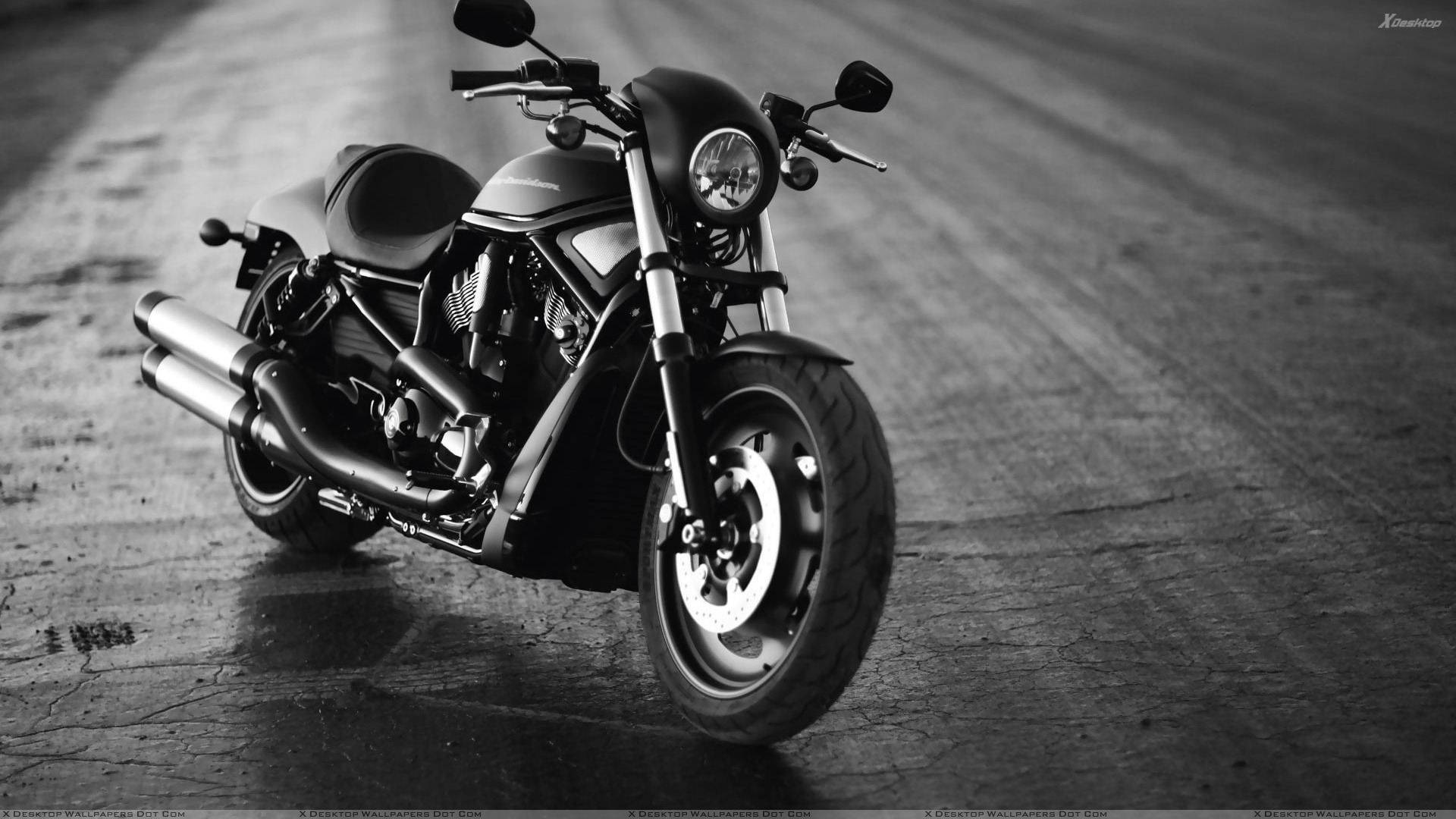 Harley 桌布 壁紙 — 一台時尚的黑色摩托車在戲劇性的單色燈光下，停在破裂的柏油路上。