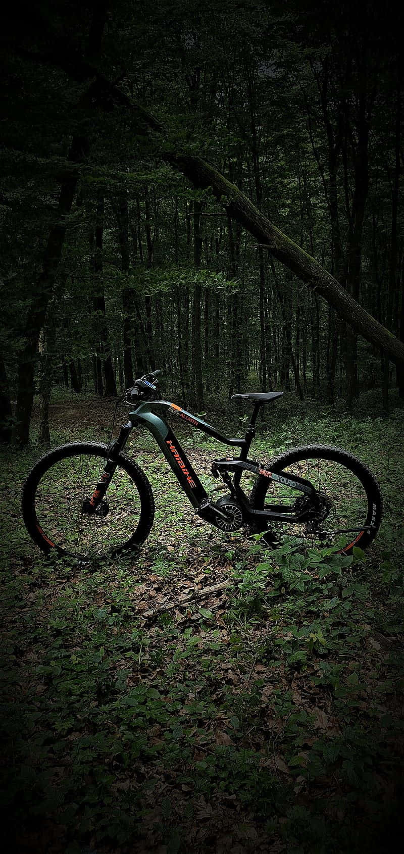 Electric Bike 桌布 壁紙 — 一台時尚的黑色登山自行車帶有橙色點綴，在黃昏時獨自矗立在茂密陰暗的森林中。