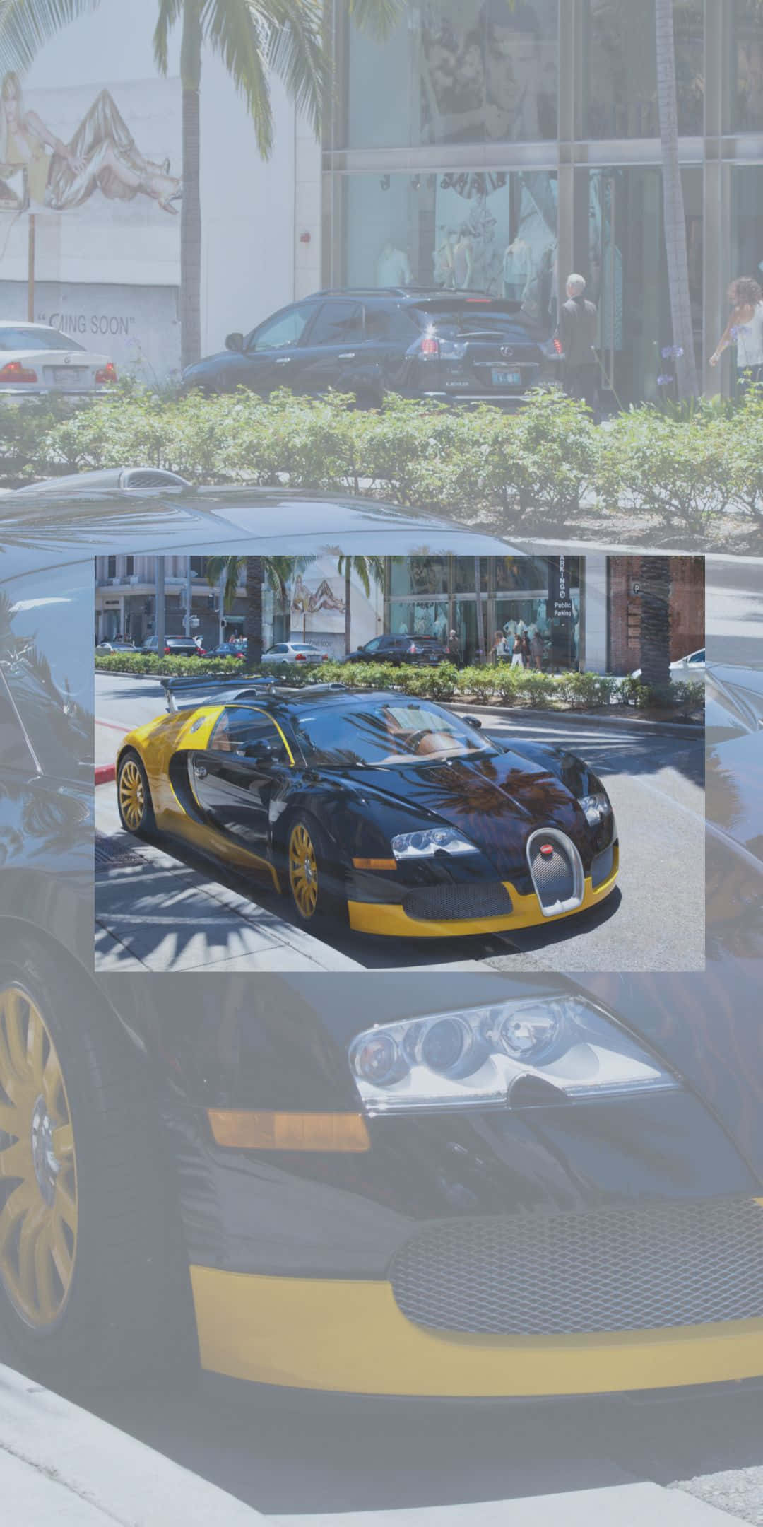 Best Bugatti 桌布 壁紙 — 一台時尚的黑黃色布加迪威龍停放在陽光明媚的城市街道上，背景有棕櫚樹和商店門面。