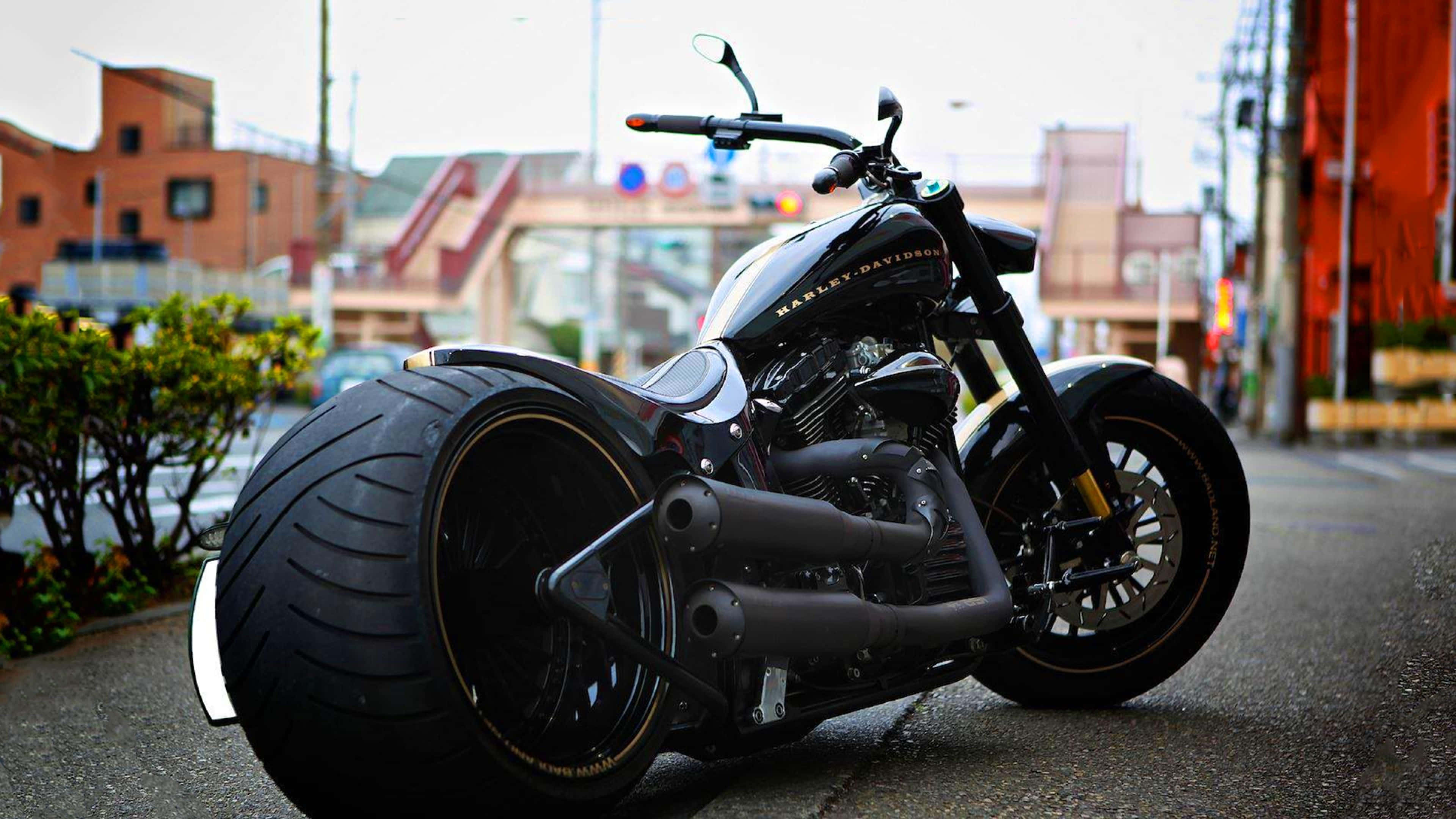 桌布 壁紙 — 一台時尚黑色Harley-Davidson chopper機車，配備特大輪胎，停放在城市街道旁，旁邊有綠色灌木叢。