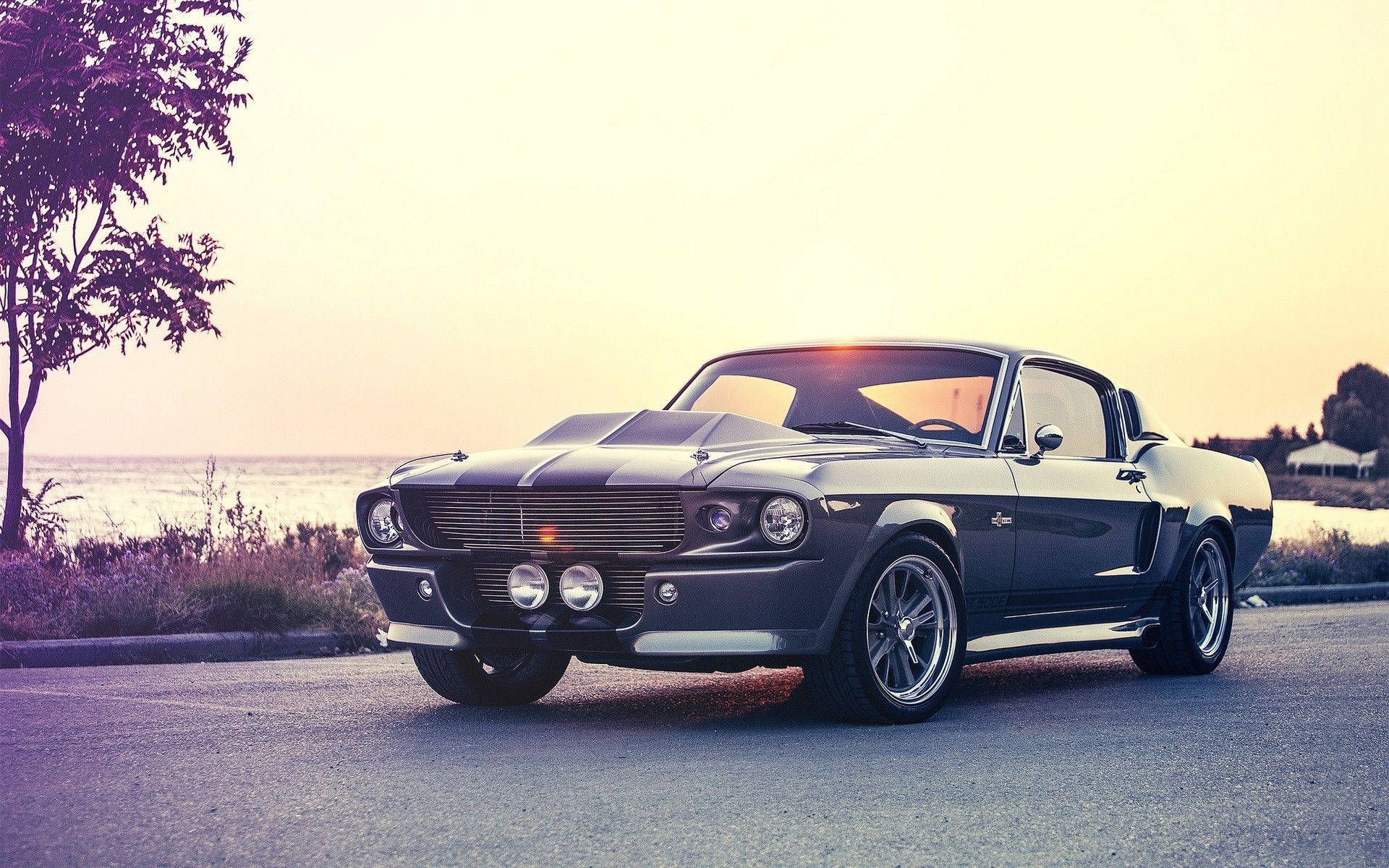 mustang HD 桌布 壁紙 — 一台時尚黑色經典肌肉車帶有賽車條紋，在黃金時刻停泊在沿海公路上。