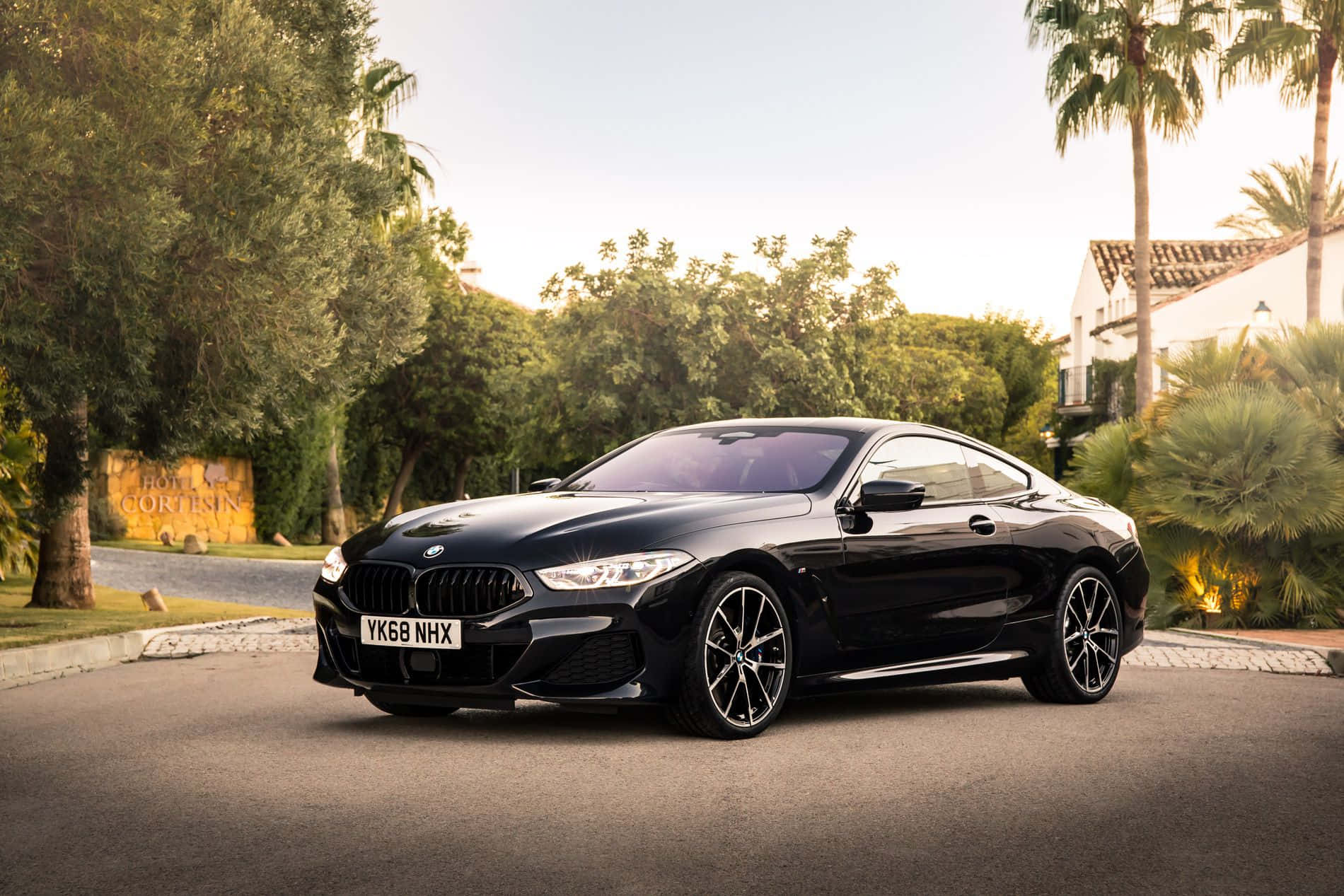 Bmw 8 Series 桌布 壁紙 — 一台流線型黑色BMW 8系列轎跑車在樹木成蔭的住宅車道上，於黃金時段的光線下閃閃發光。