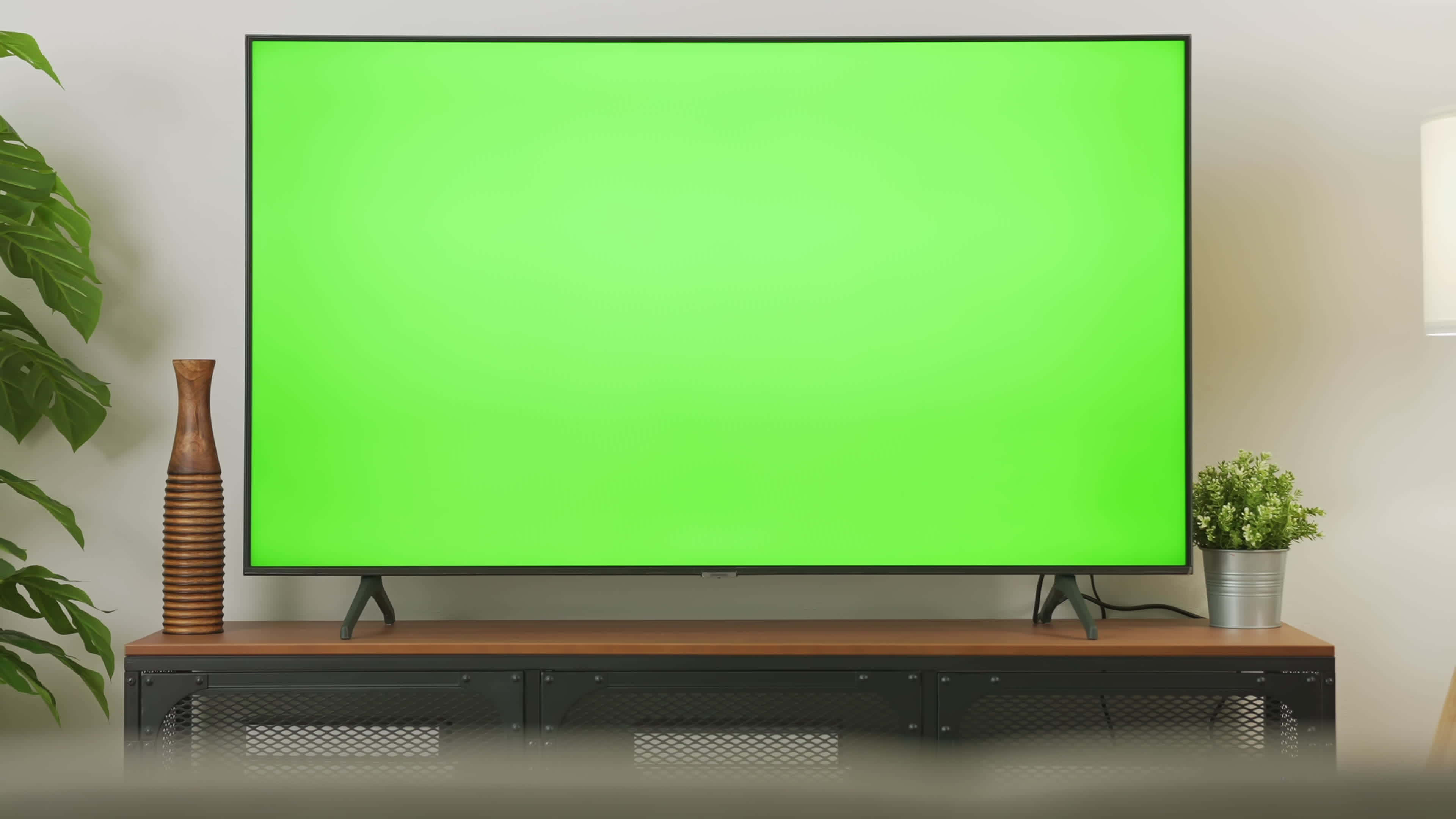 television 桌布 壁紙 — 一台現代平面電視，帶有純綠色螢幕，放置在木製媒體櫃上，兩側有高大的植物和一個小盆栽灌木。