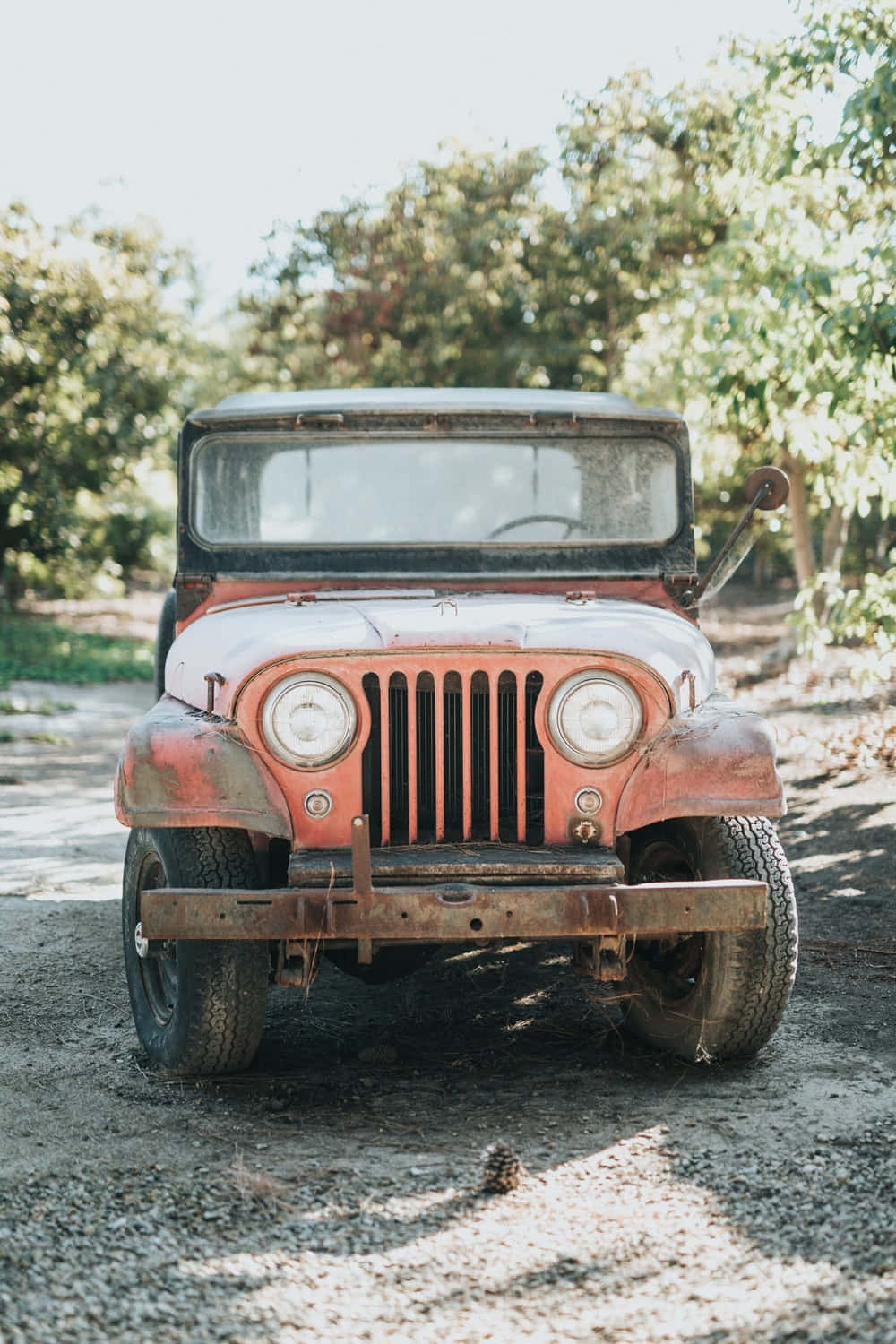 Jeep Cj 桌布 壁紙 — 一台生鏽的復古橙色吉普車被遺棄在碎石路上，周圍是茂密的綠樹，在明亮的日光下。