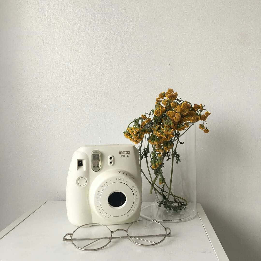Photograph 桌布 壁紙 — 一台白色拍立得相機放在白色層架上，旁邊有一個玻璃花瓶，裡面插著乾燥的黃色花朵，還有一副圓形眼鏡。