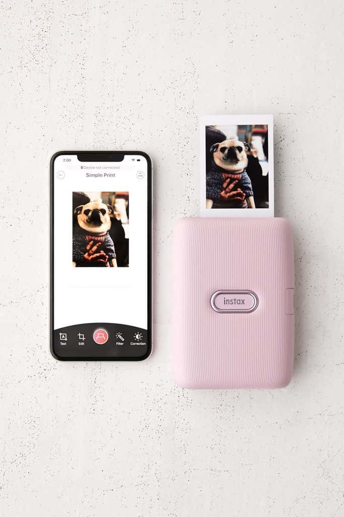Print 桌布 壁紙 — 一台粉紅色 Instax 印表機彈出一張穿著毛衣的巴哥犬照片，旁邊是一部智慧型手機，在斑點灰色表面上顯示相同圖像。