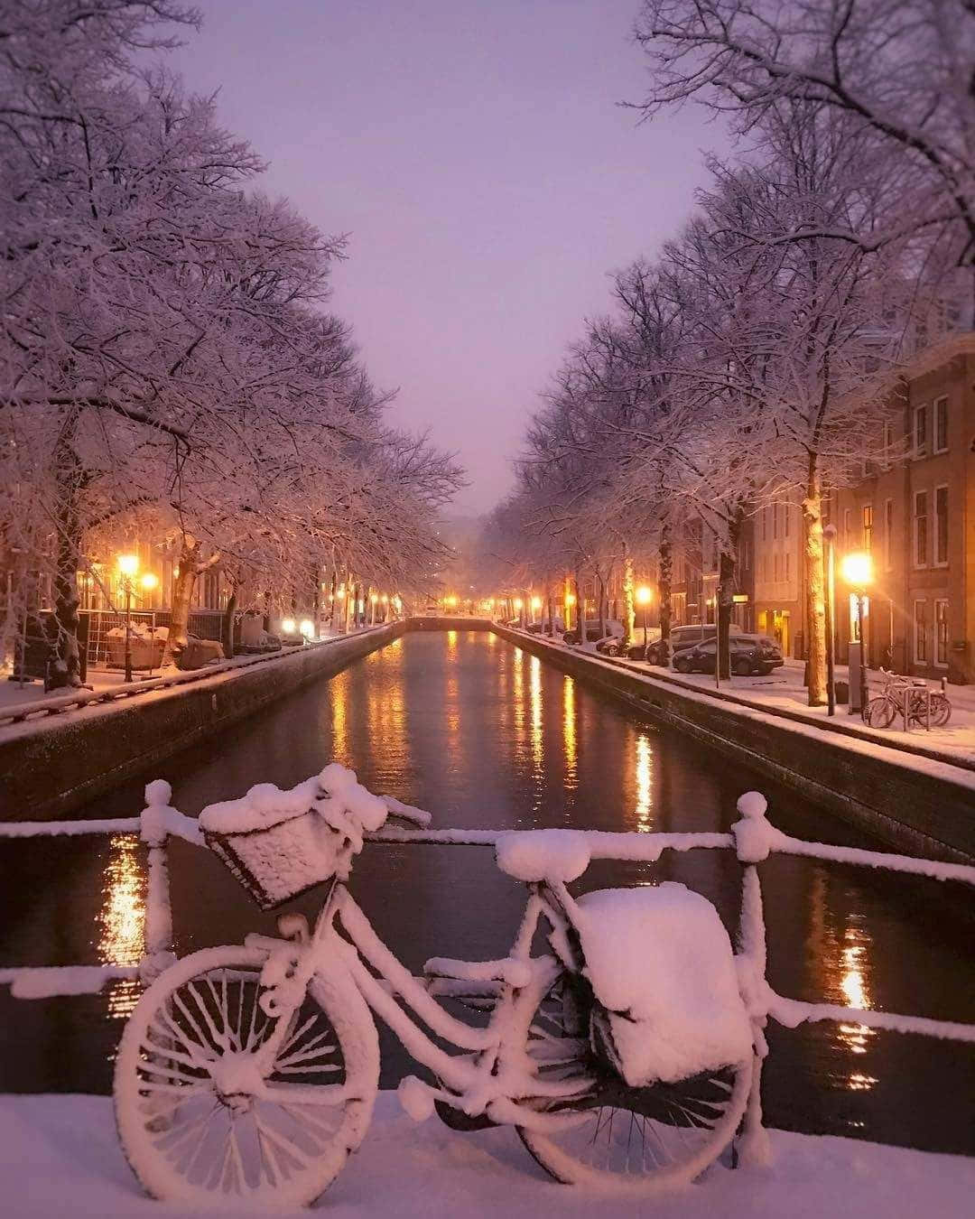 Winter Photography 桌布 壁紙 — 一台被雪覆蓋的腳踏車倚靠在運河旁的欄杆上，在黃昏時分，溫暖的路燈倒映在水面上，光禿禿的樹木排列在小徑兩旁。