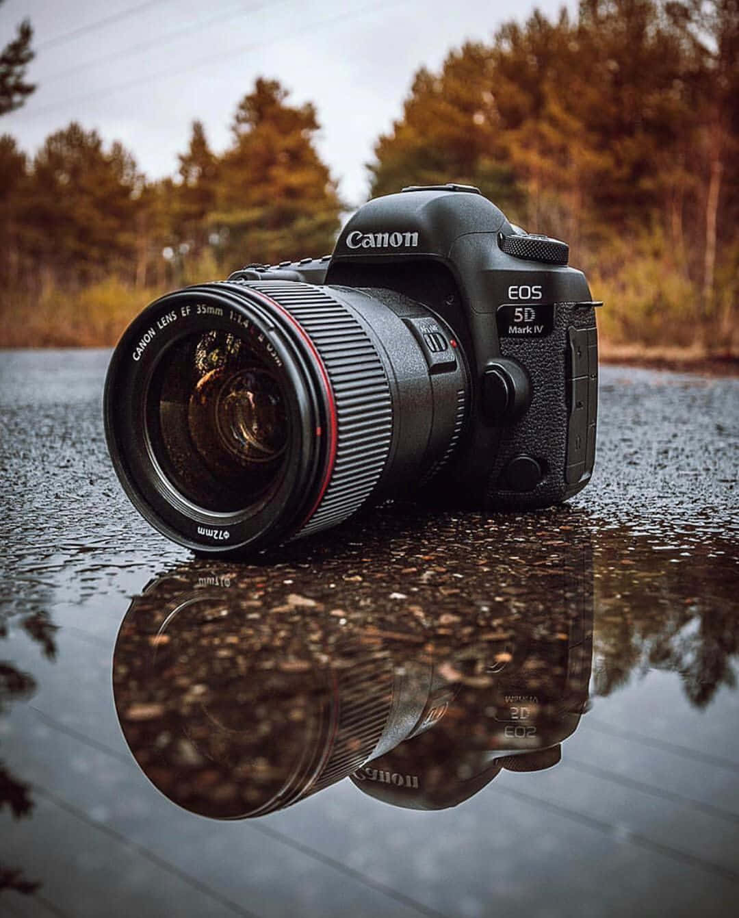 相機 桌布 壁紙 — 一台配備35mm鏡頭的Canon EOS 5D Mark IV相機放在濕漉漉的路面上，其倒影在秋樹下的水窪中閃爍。