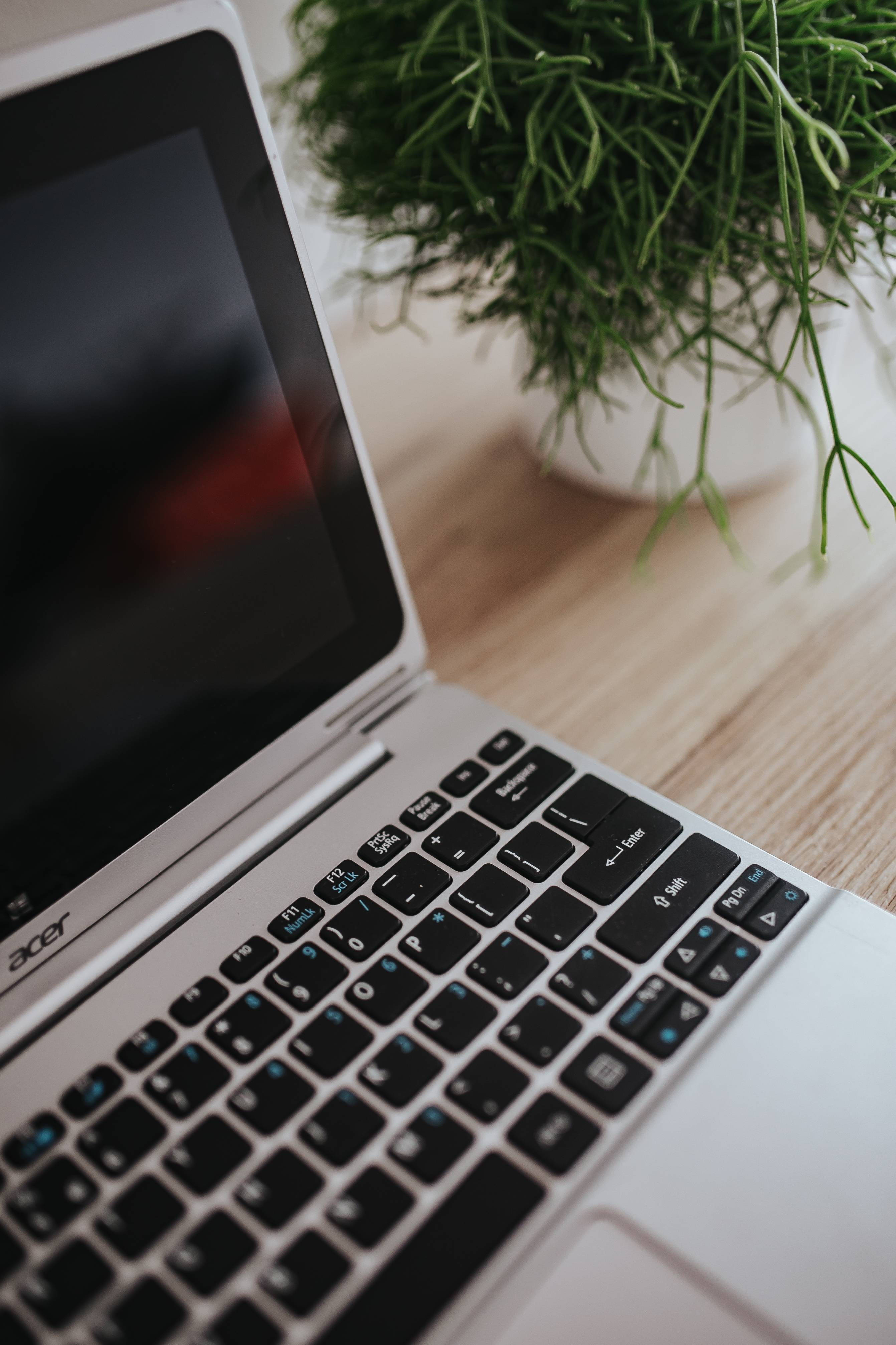 MacBook 動態圖片 桌布 壁紙 — 一台銀色筆記型電腦打開放在木桌上，旁邊有一盆白色花盆的綠色植物垂落。