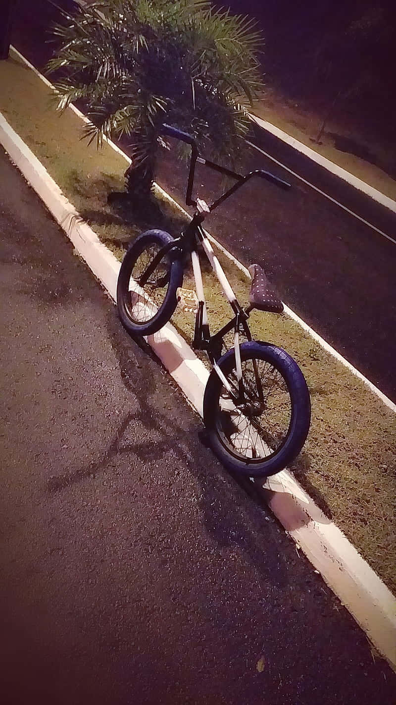 bmx 桌布 壁紙 — 一台黑白BMX腳踏車在夜晚靠在一條濕滑街道上的棕櫚樹旁邊的路緣。