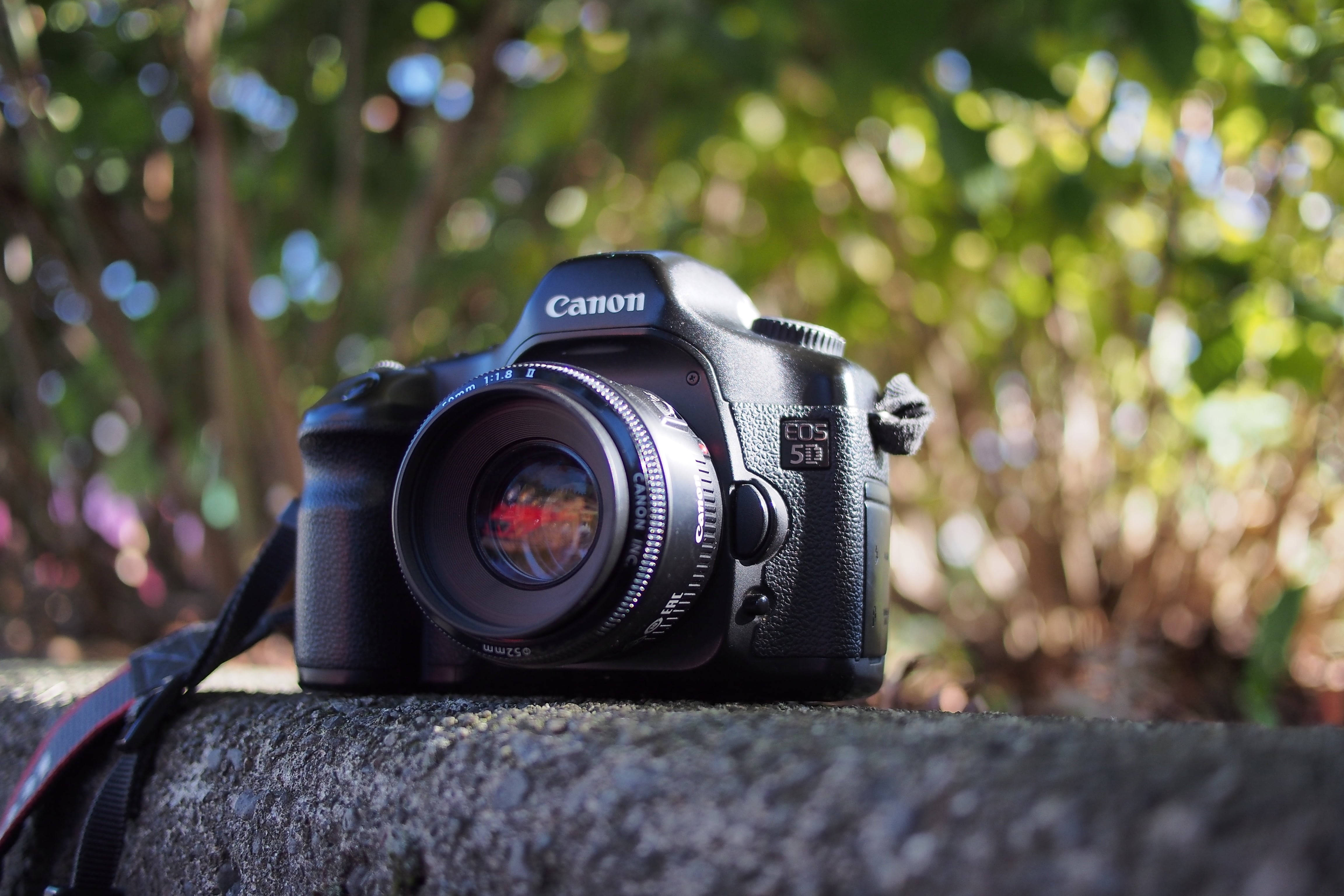 相機 桌布 壁紙 — 一台黑色 Canon EOS 5D 相機放在有紋理的石邊上，背景中陽光照射的綠色樹葉柔和地模糊。