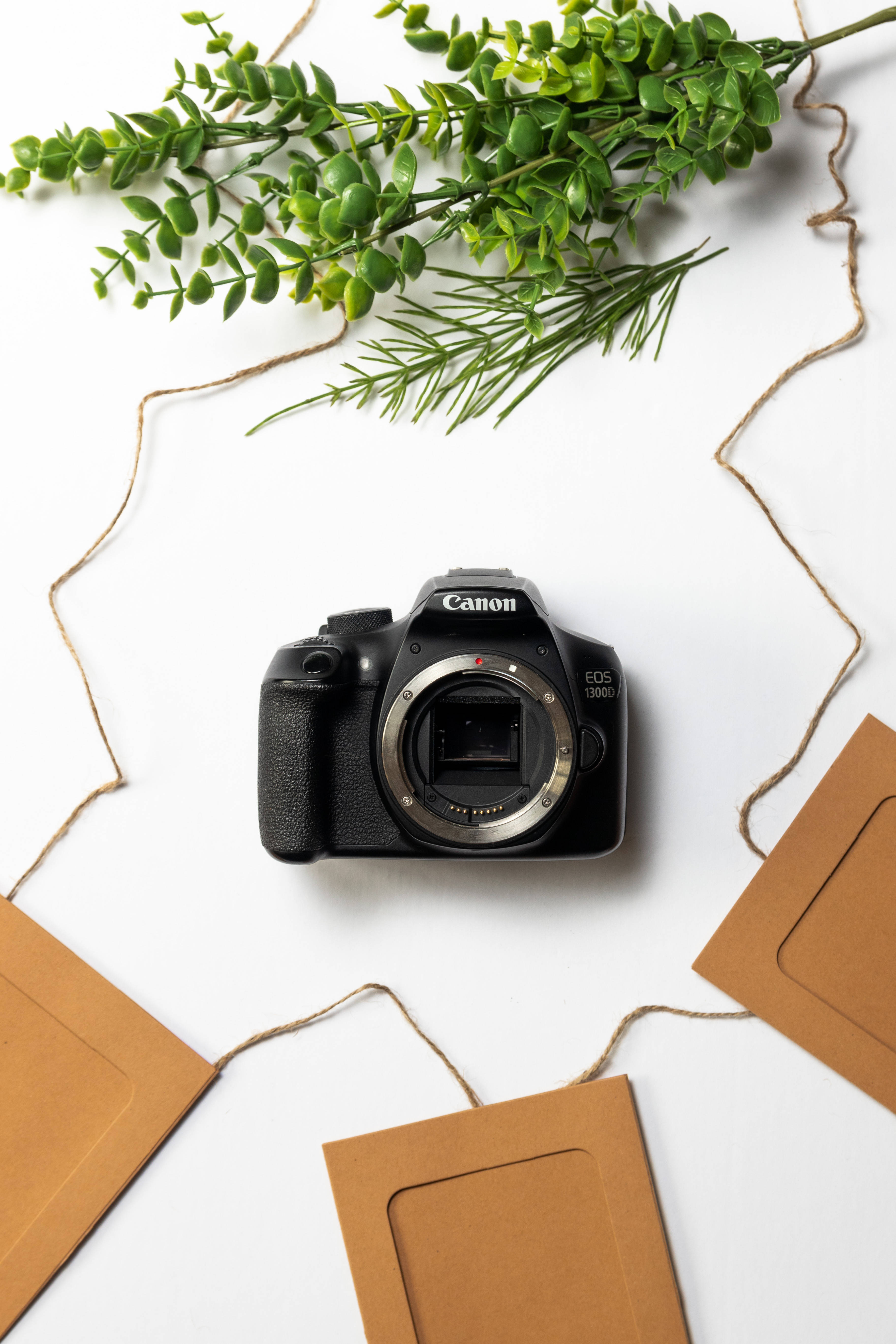 Greenery 桌布 壁紙 — 一台黑色Canon DSLR相機放在白色表面中央，周圍有綠色植物和用麻繩綁著的棕色紙信封。
